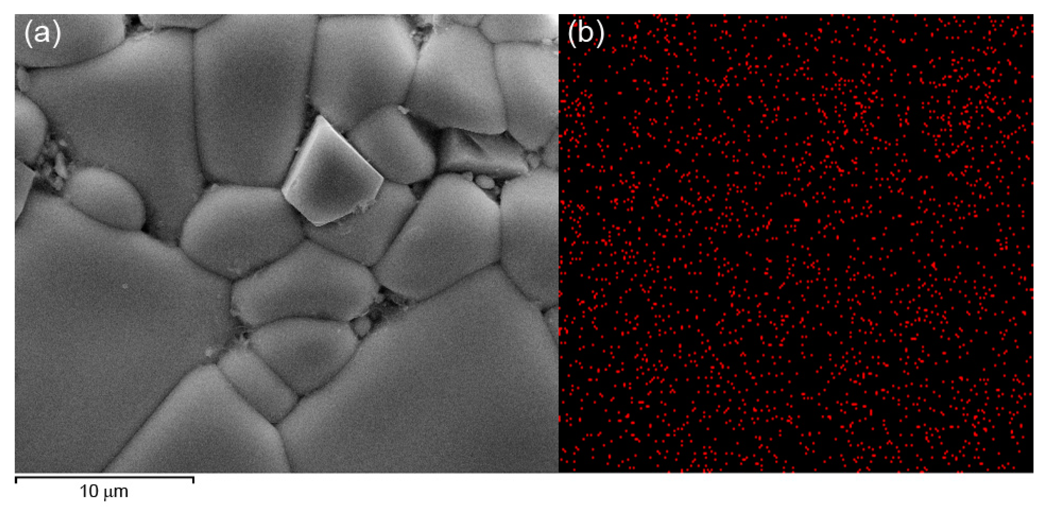 Coatings 13 01331 g003 Coatings 13 01331 g003