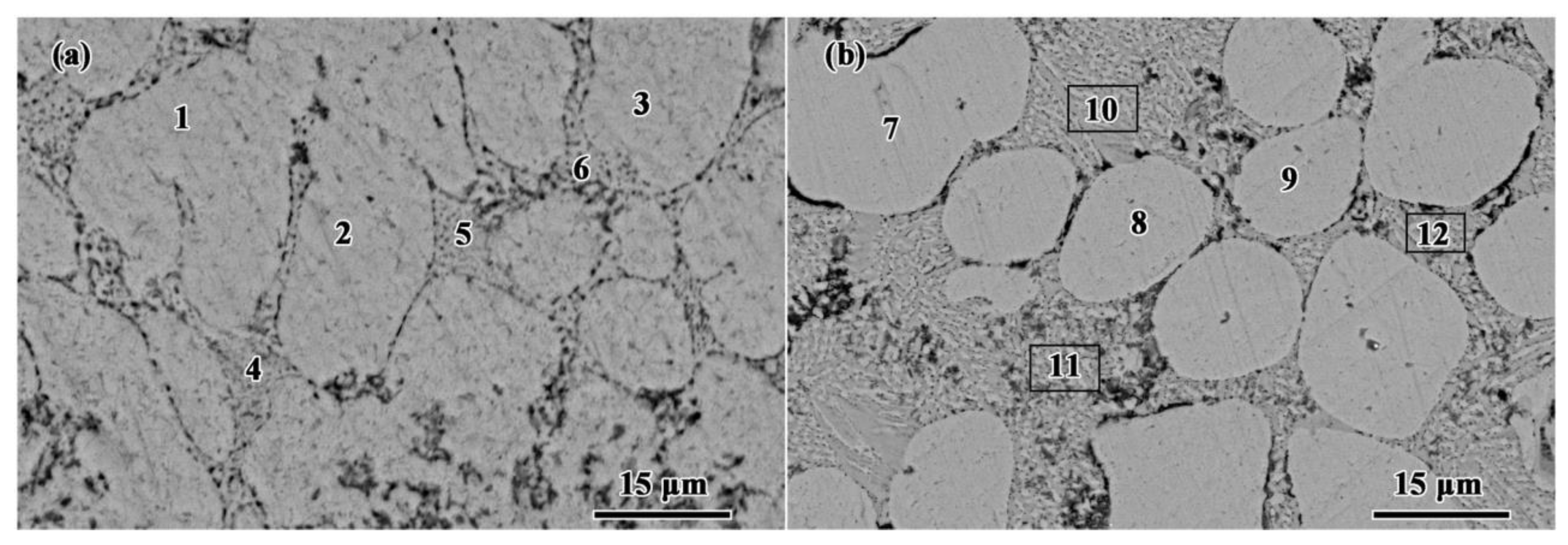 Coatings 13 01339 g003