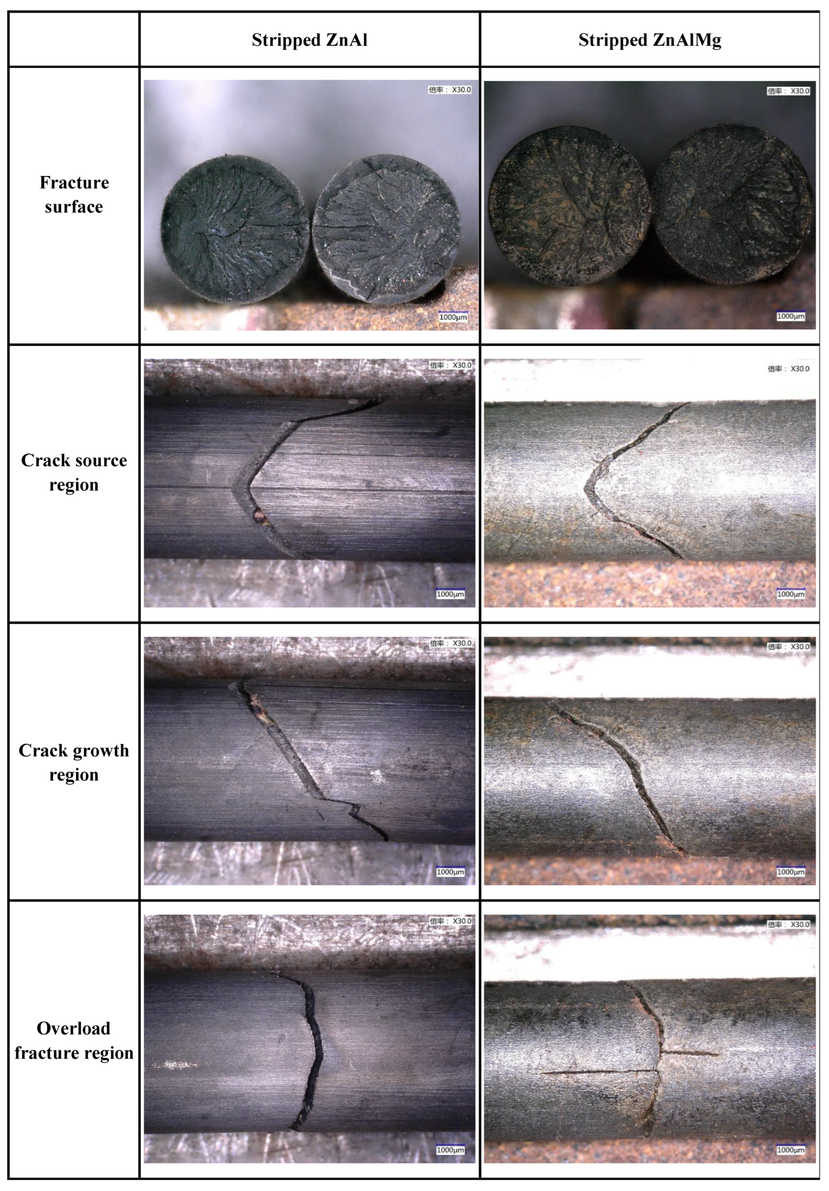 Coatings 13 01339 g006