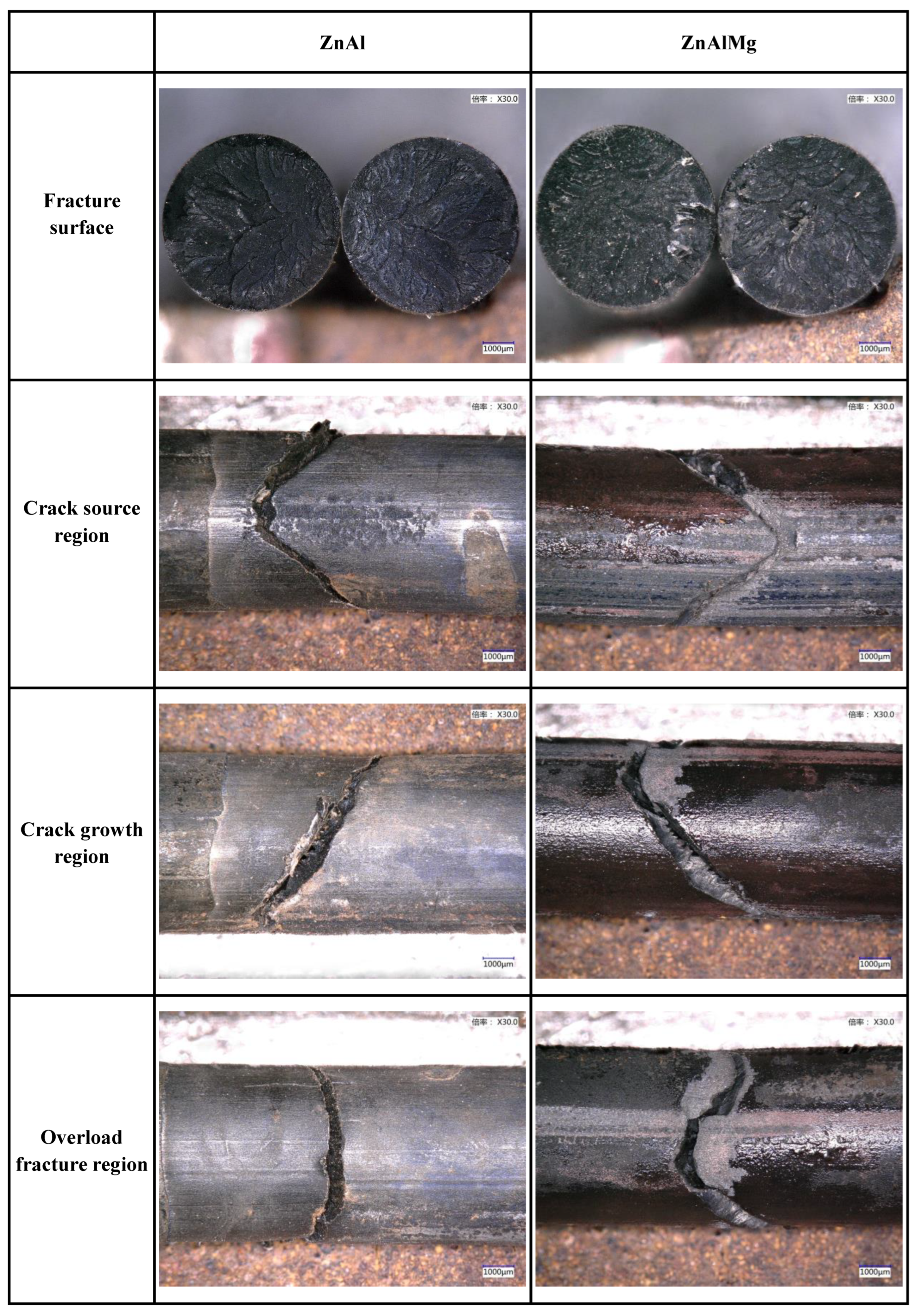 Coatings 13 01339 g007