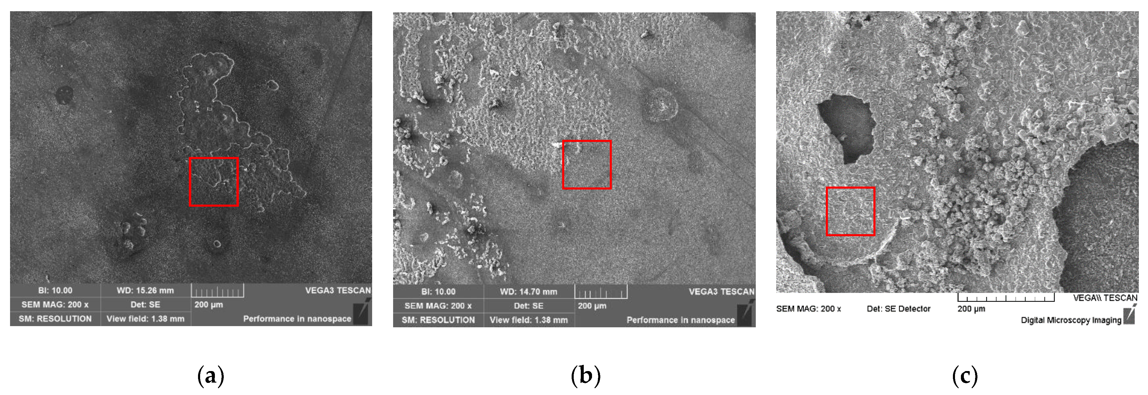 Coatings 13 01342 g007 Coatings 13 01342 g007