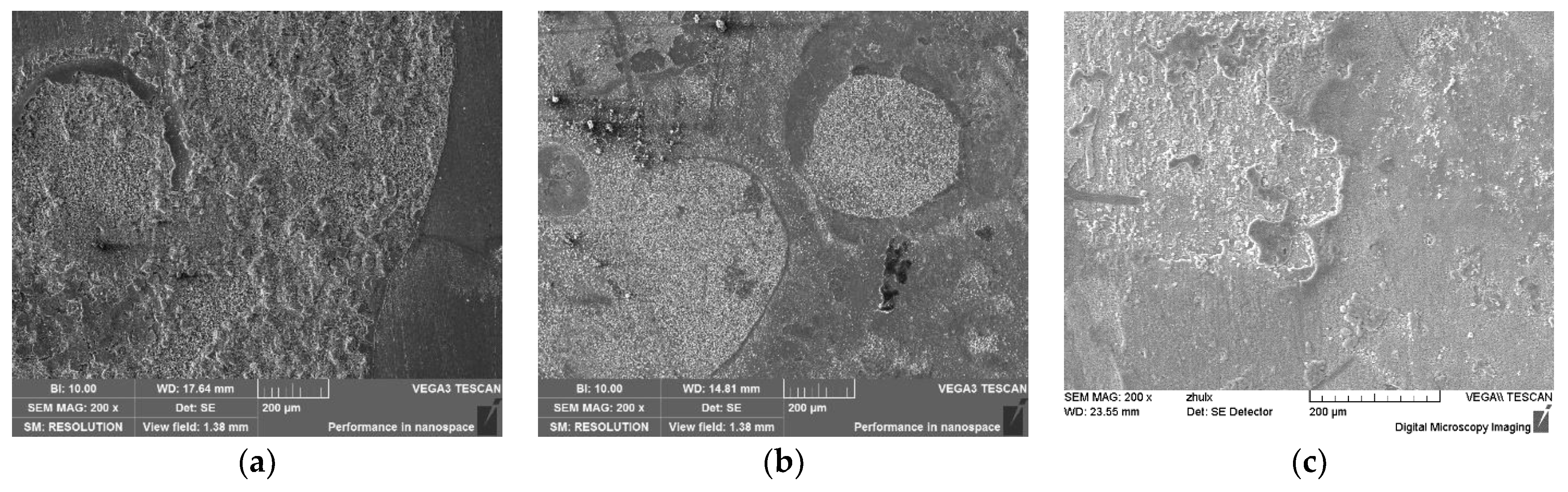 Coatings 13 01342 g009 Coatings 13 01342 g009