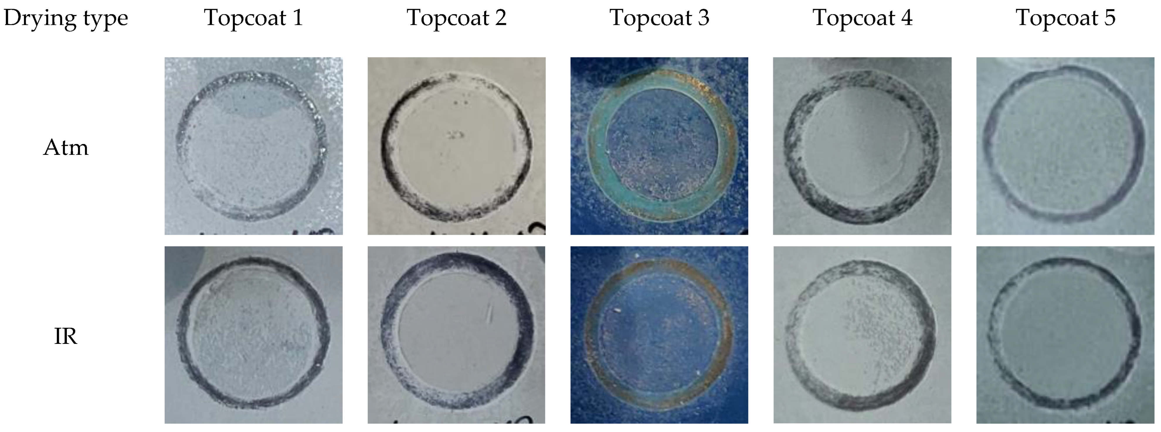 Coatings 13 01343 g003