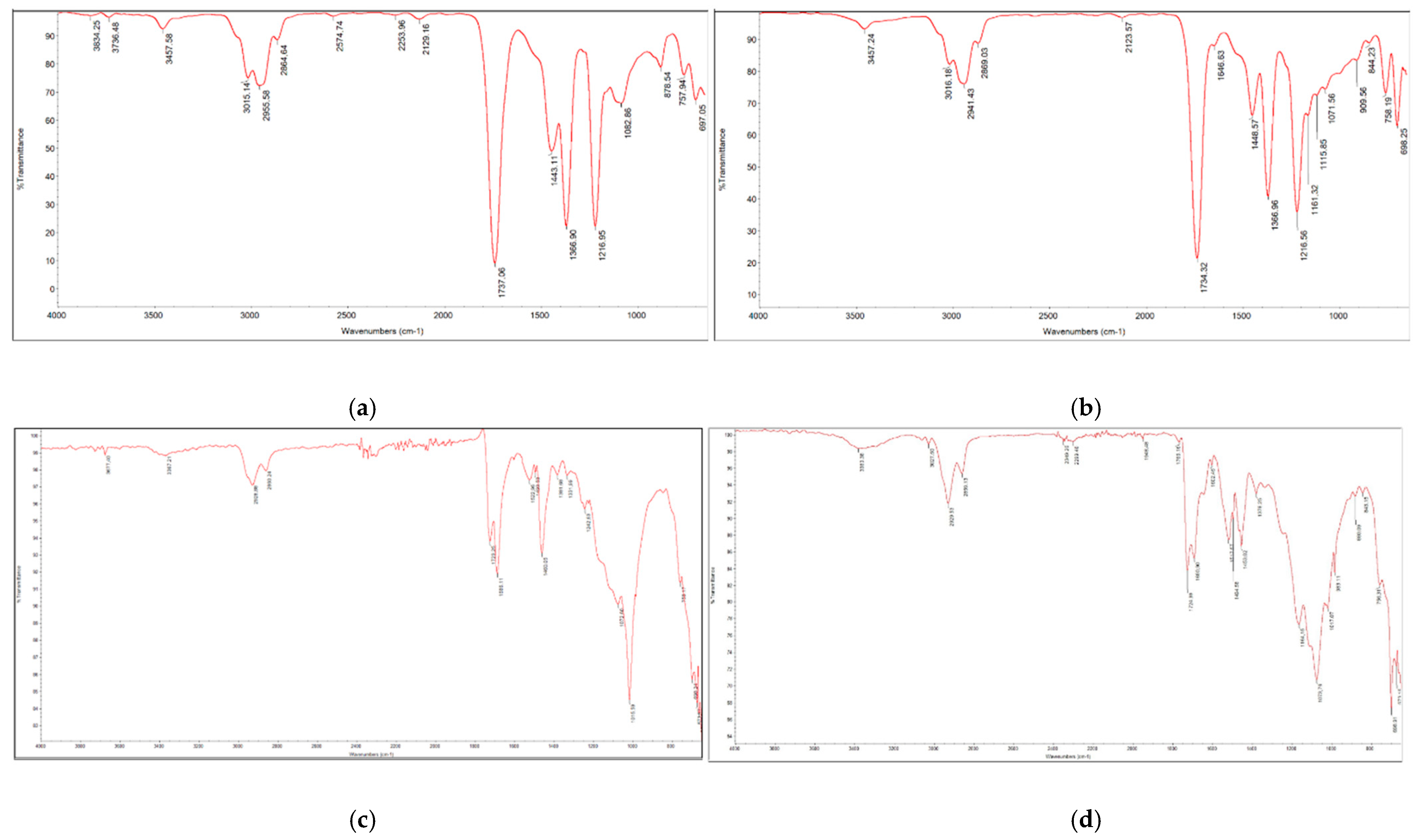 Coatings 13 01343 g0a3