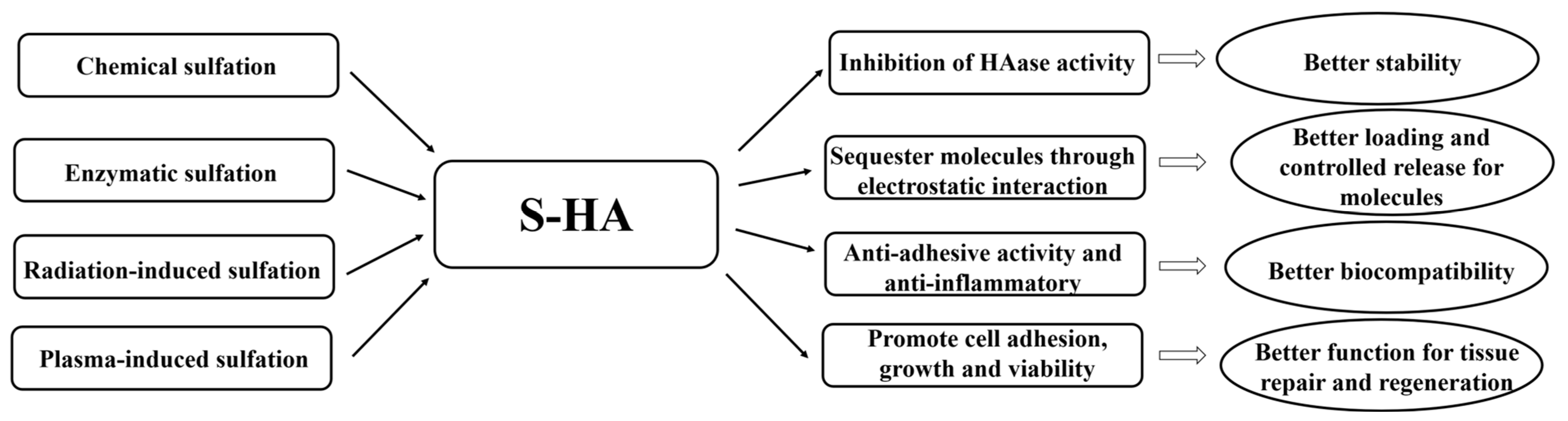 Coatings 13 01345 g001