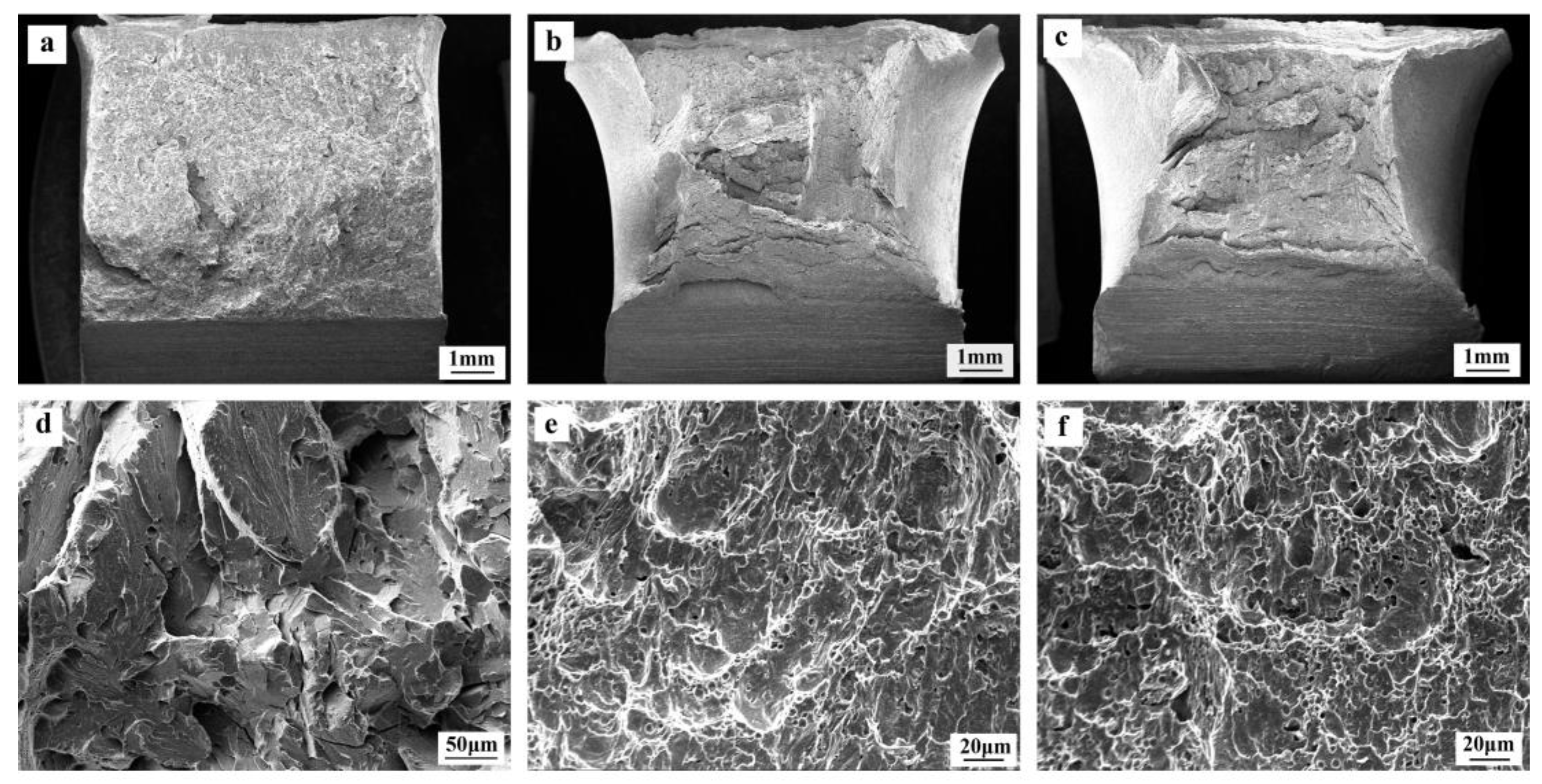 Coatings 13 01347 g008