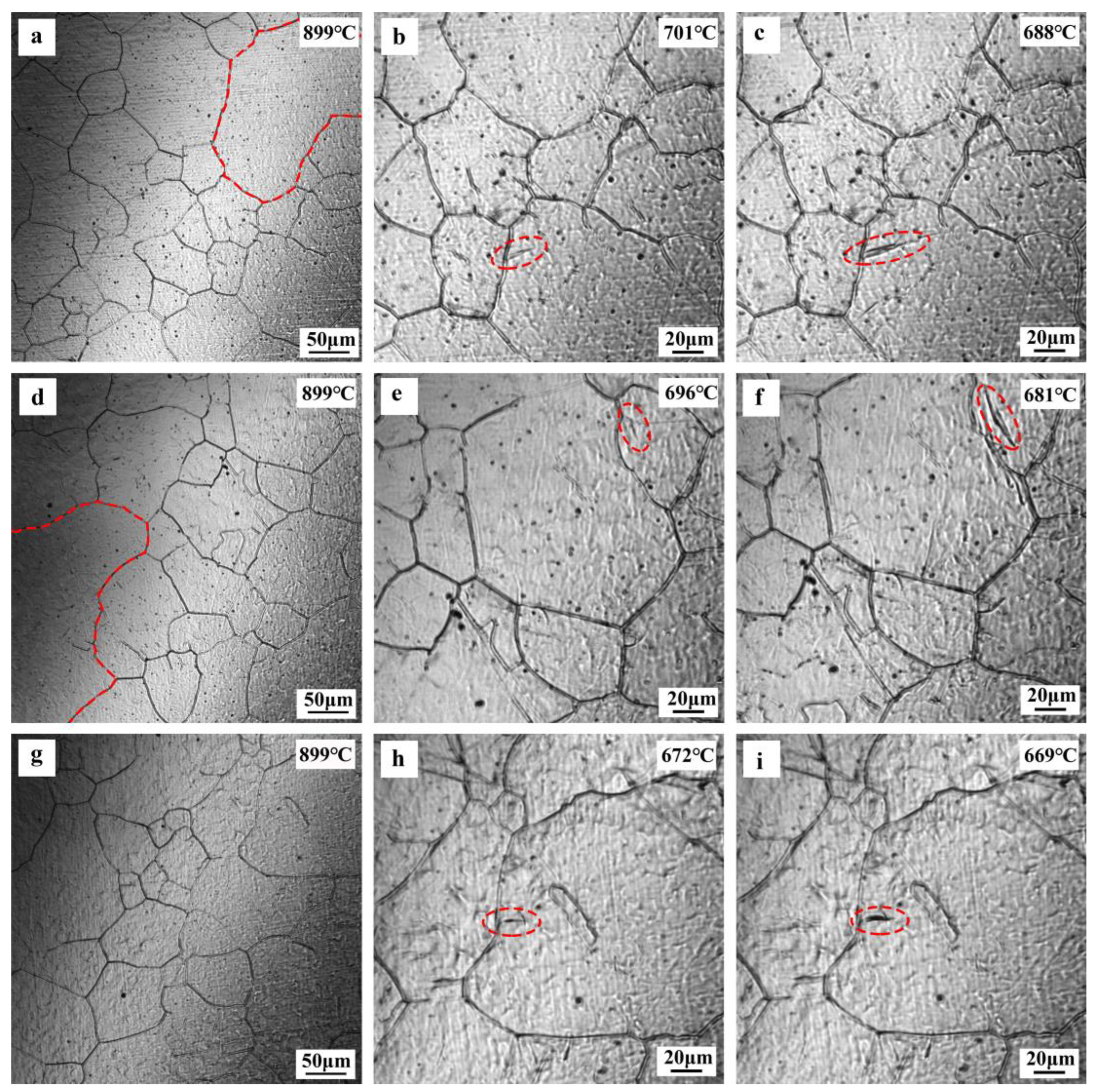 Coatings 13 01347 g009