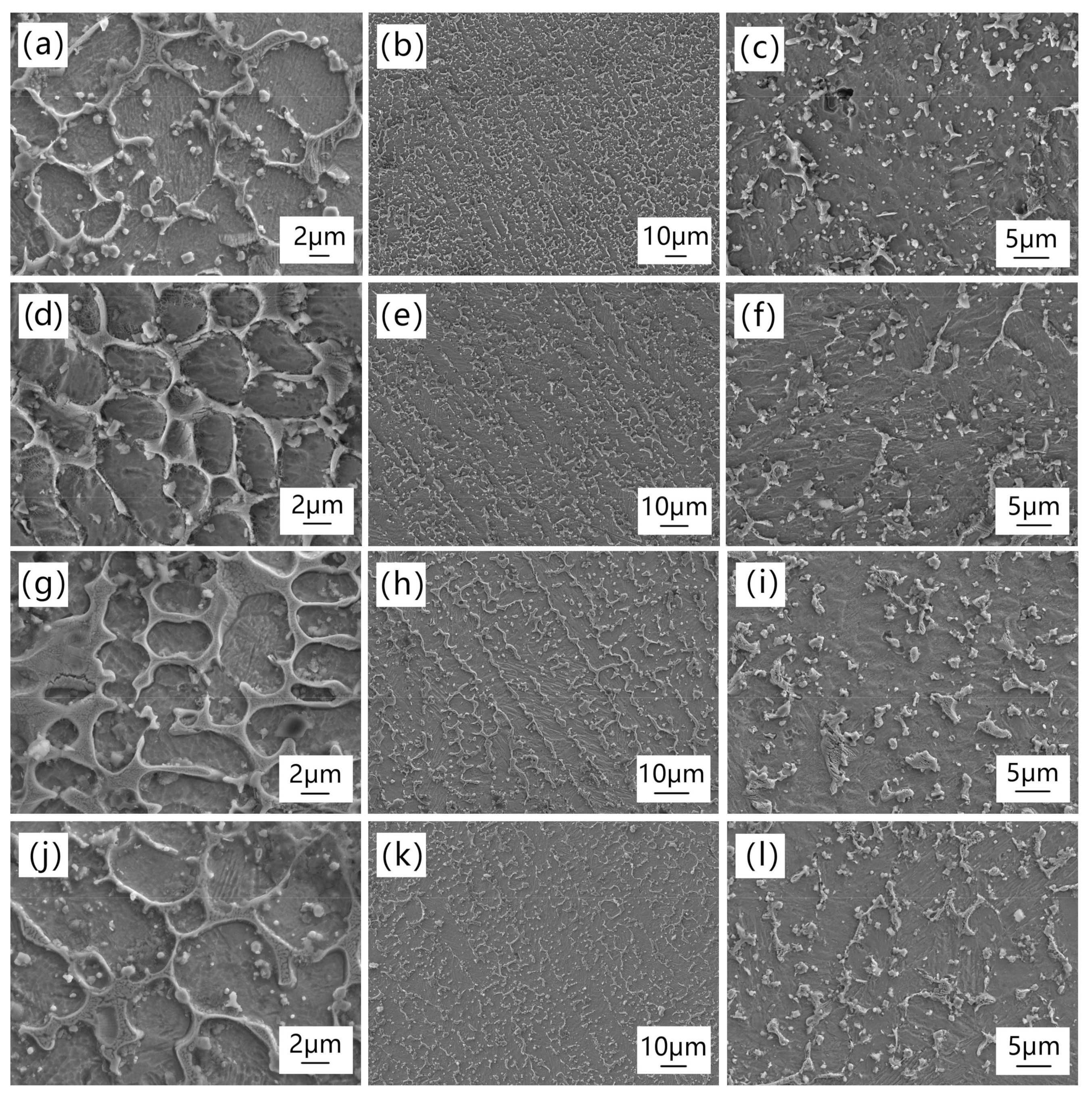 Coatings 13 01348 g003