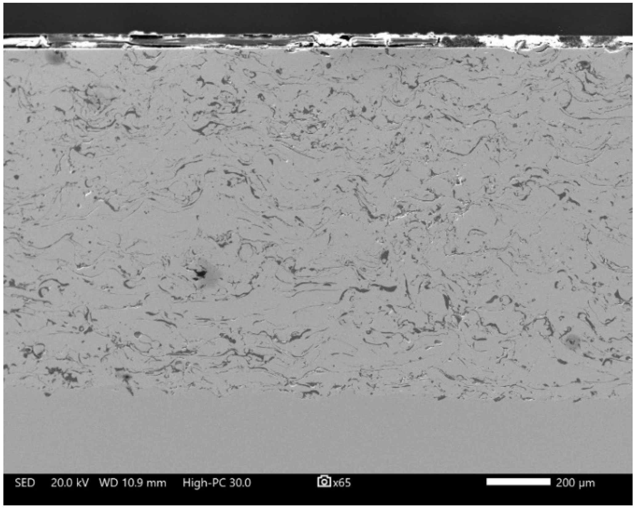 Coatings 13 01349 g001 Coatings 13 01349 g001