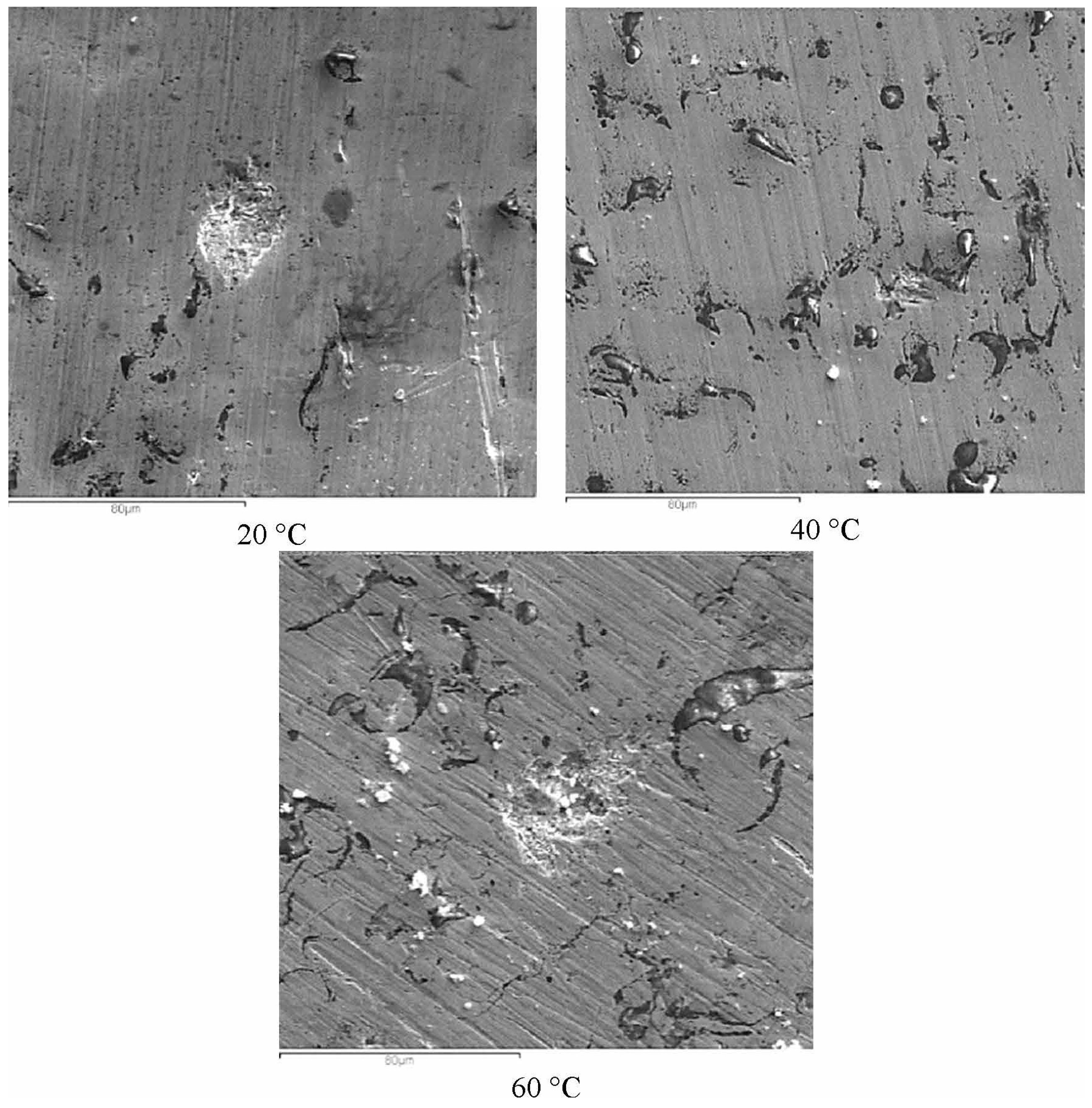 Coatings 13 01349 g010 Coatings 13 01349 g010