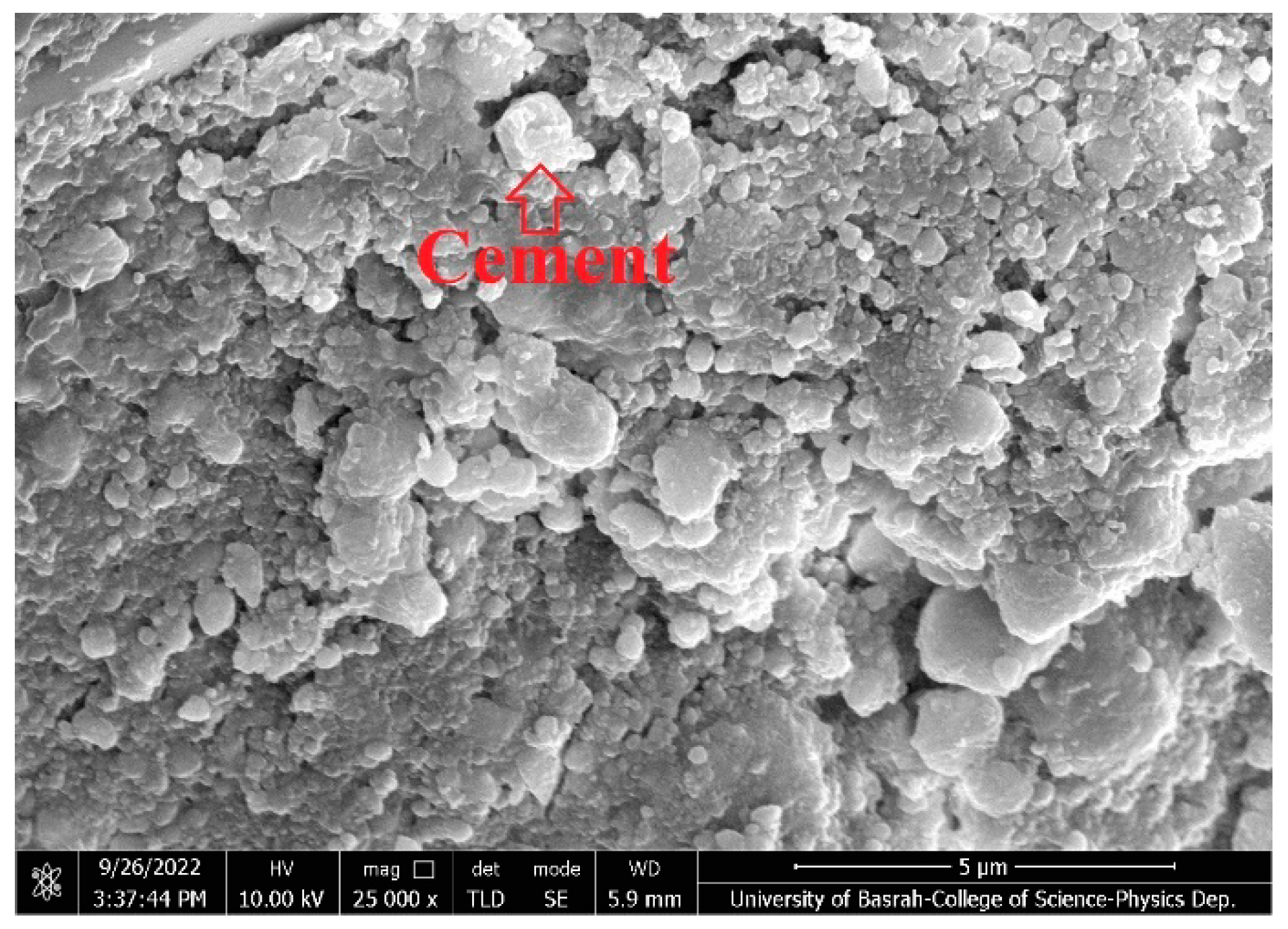 Coatings 13 01352 g007