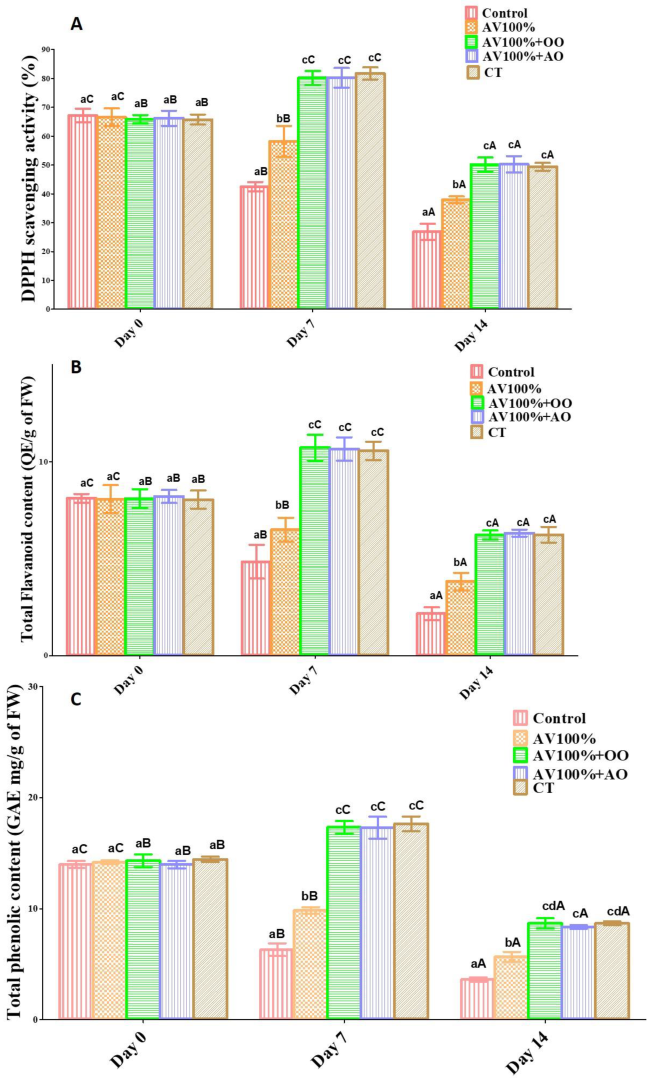 Coatings 13 01358 g001