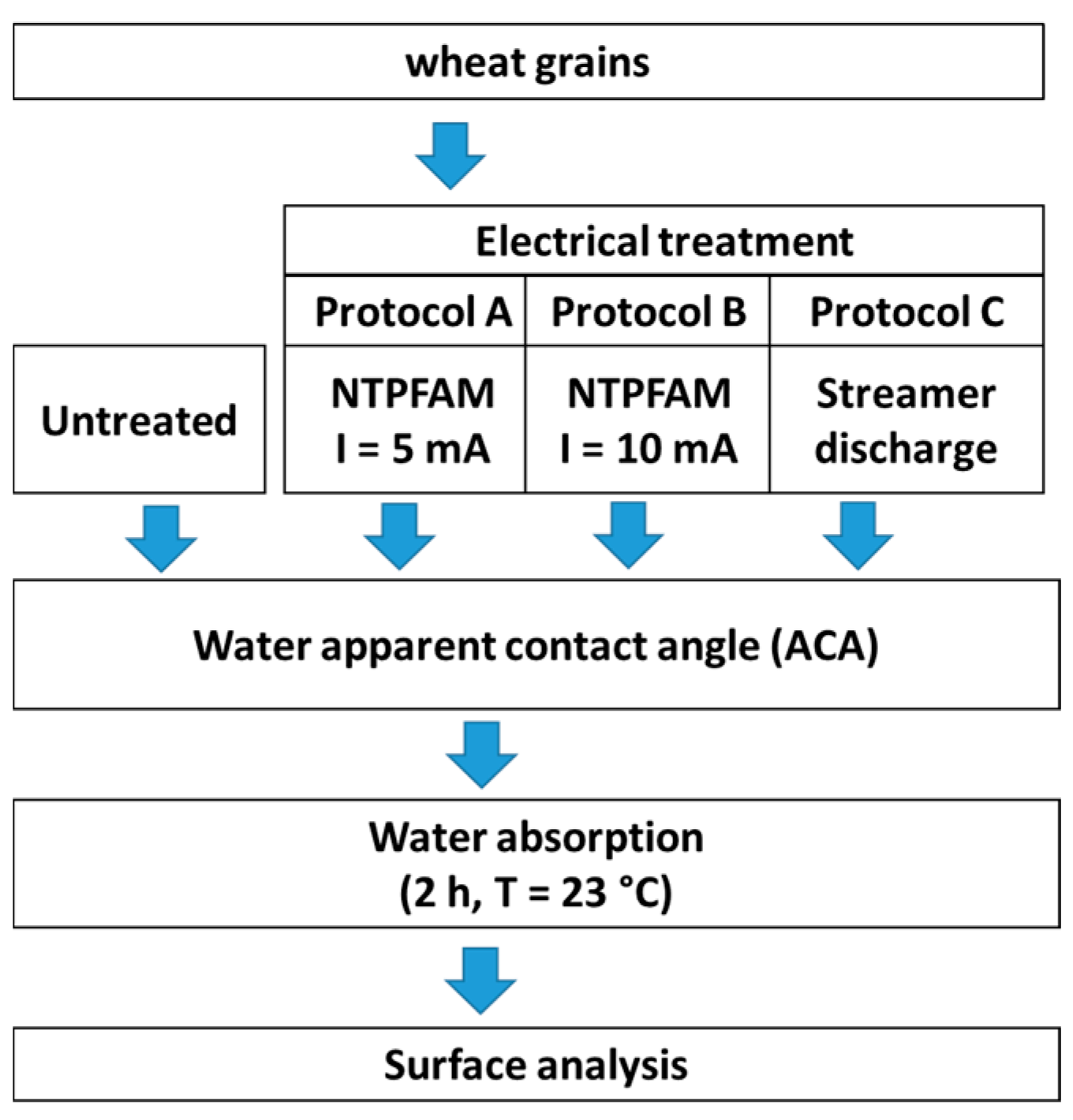 Coatings 13 01362 g001