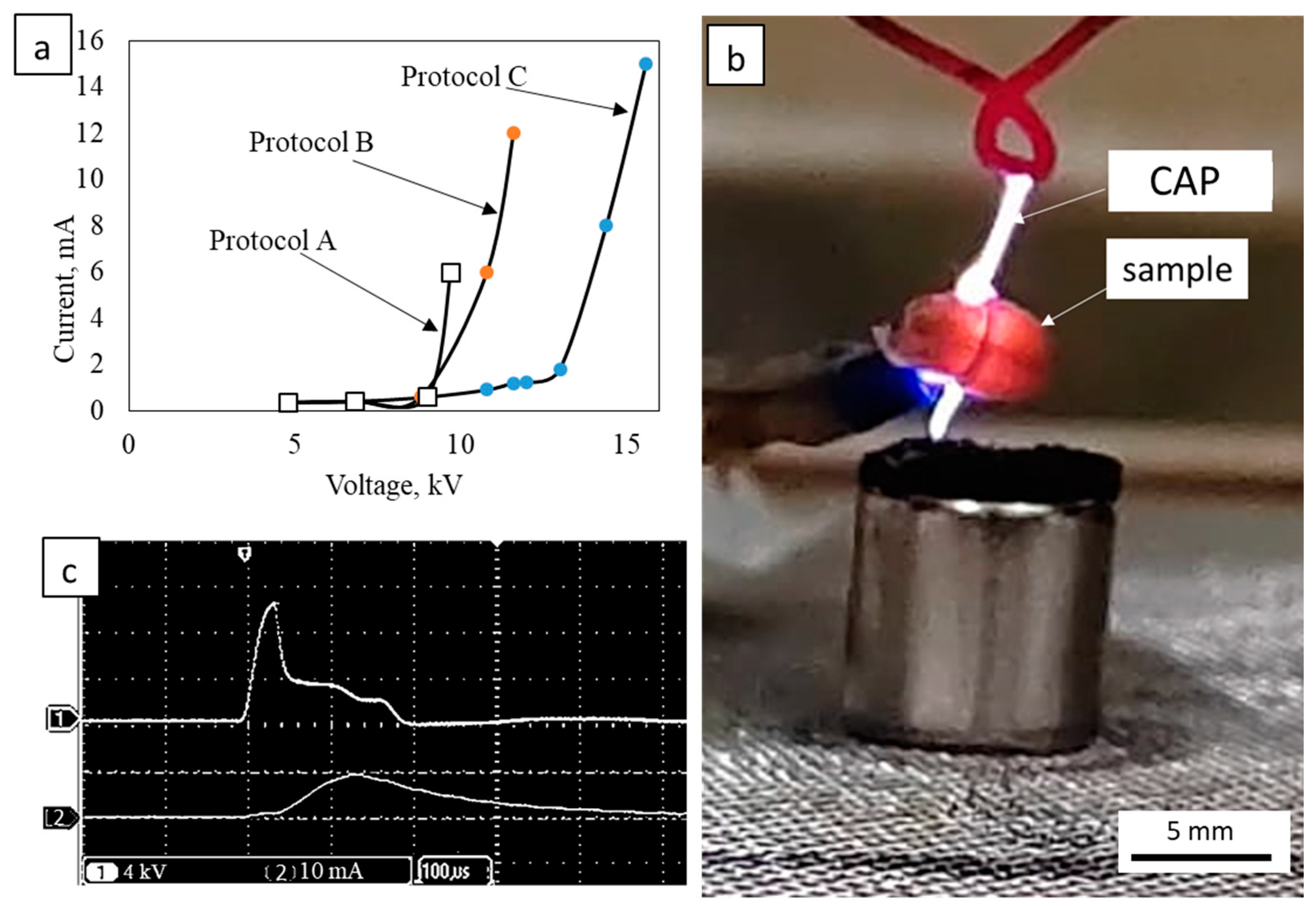 Coatings 13 01362 g004