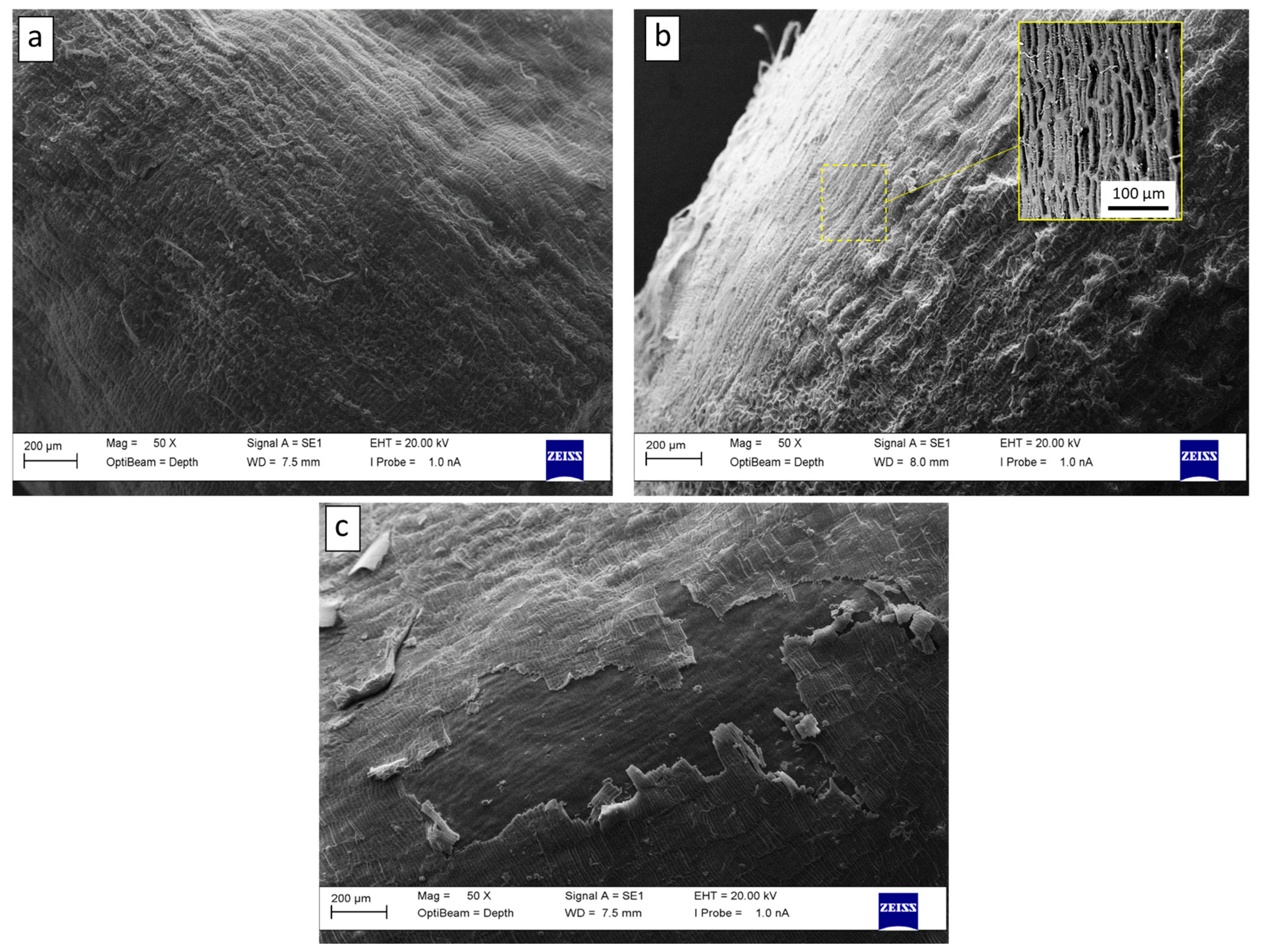 Coatings 13 01362 g007