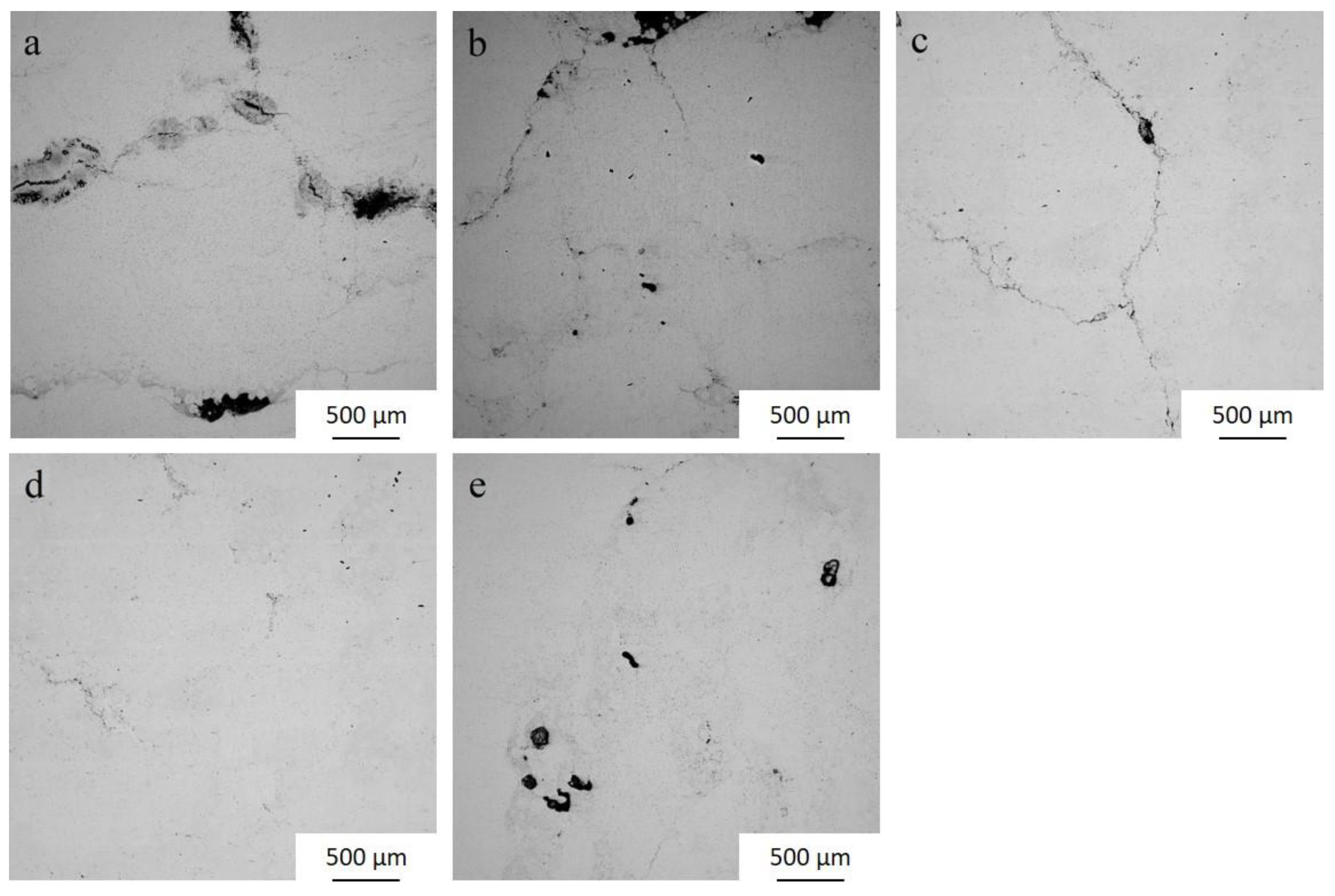 Coatings 13 01365 g003 Coatings 13 01365 g003