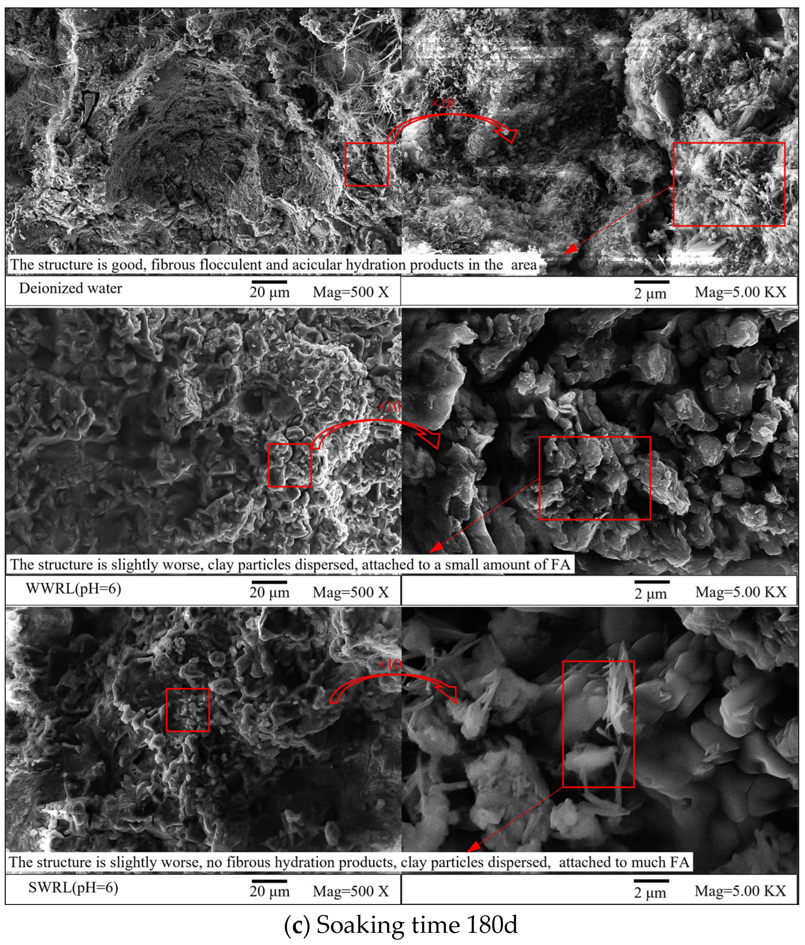 Coatings 13 01366 g004c 550