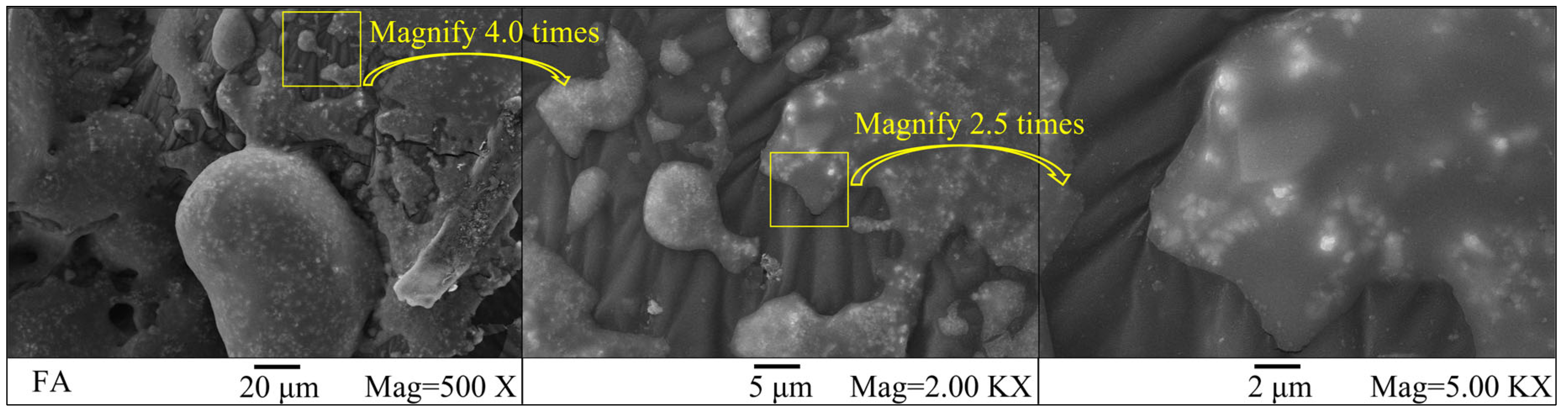 Coatings 13 01366 g005 550
