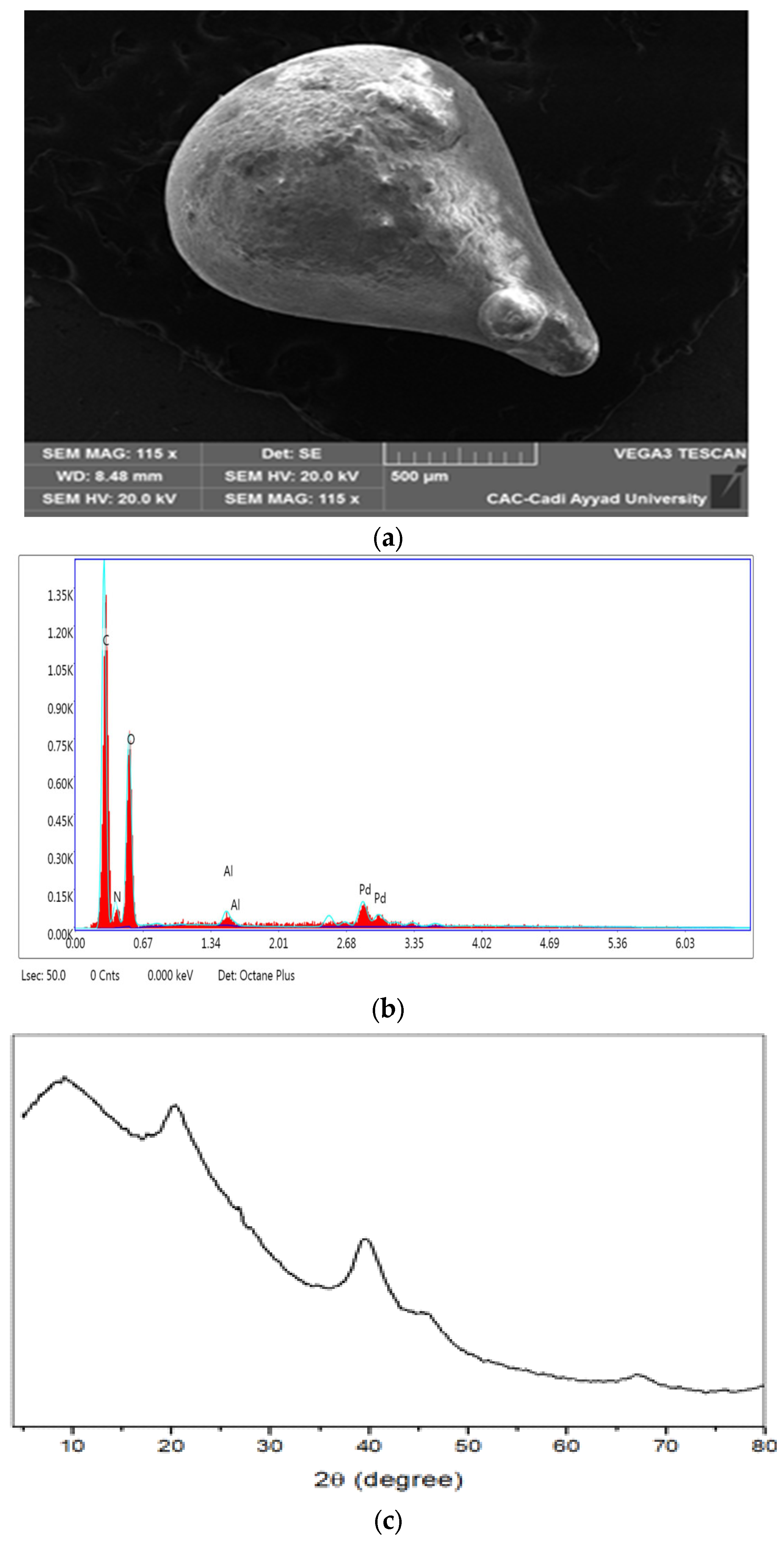 Coatings 13 01367 g008