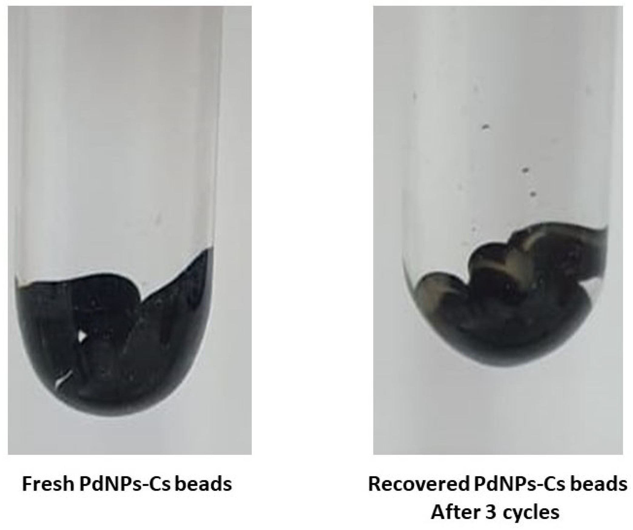 Coatings 13 01367 g009