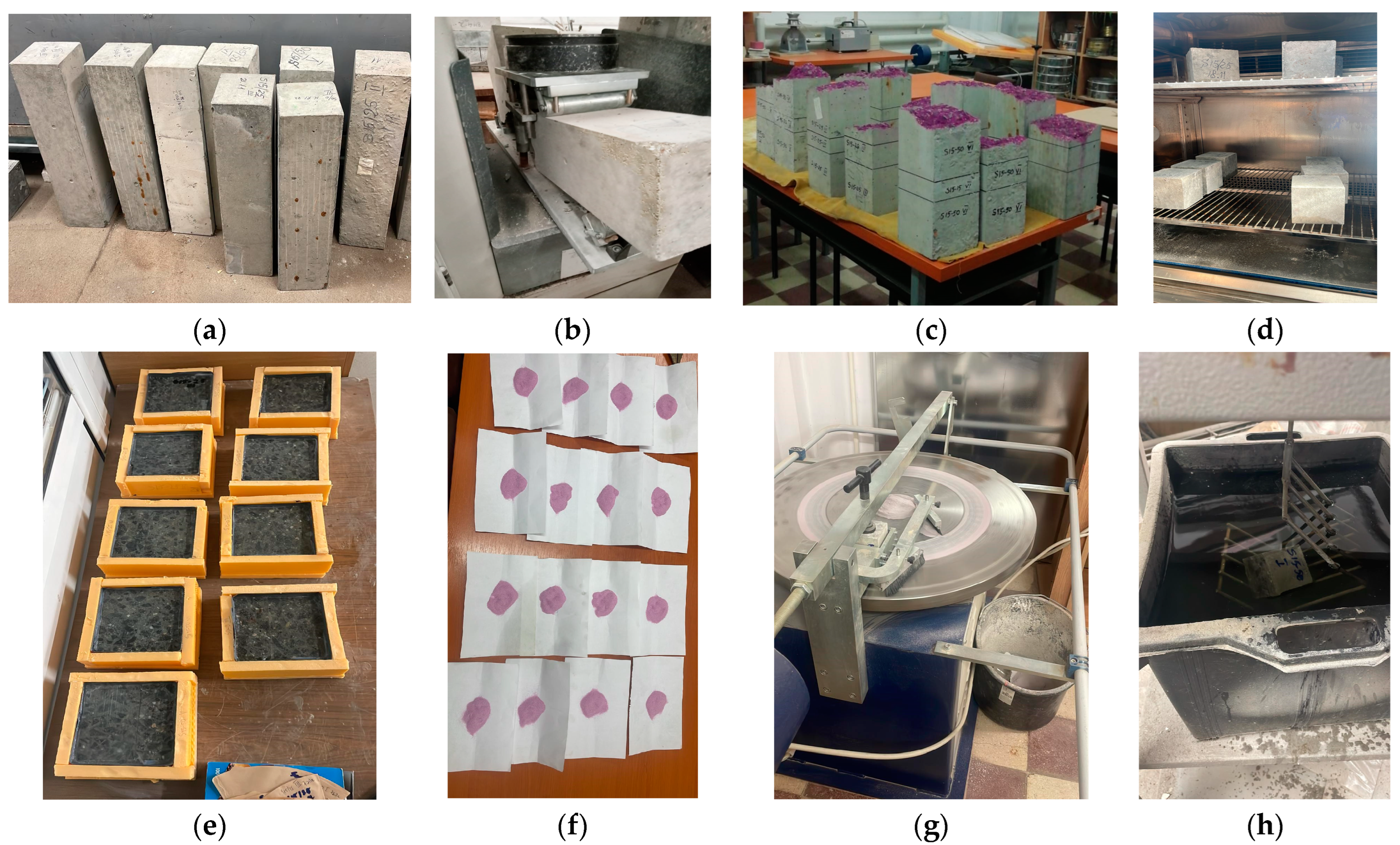 Coatings 13 01368 g003