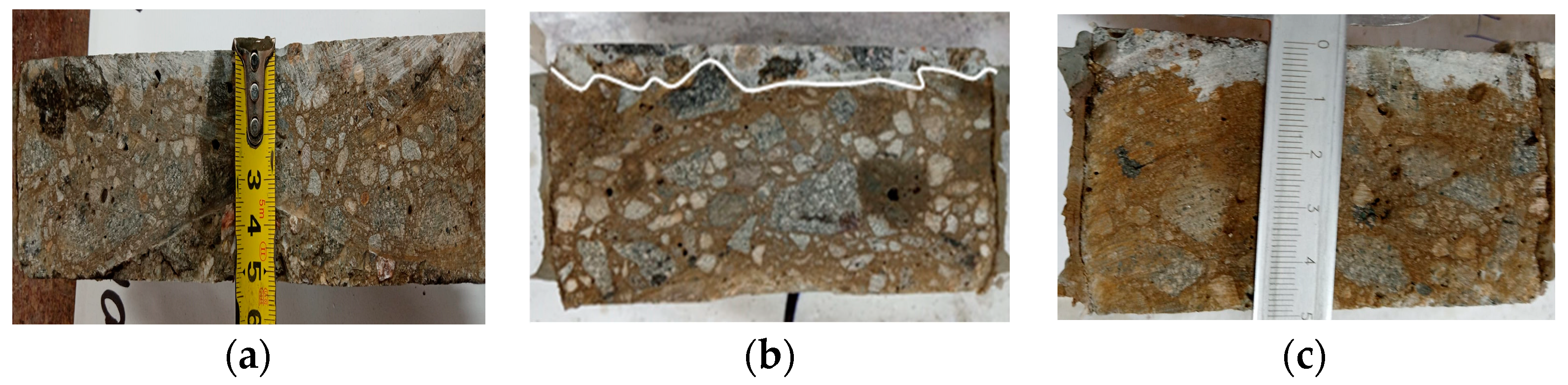 Coatings 13 01368 g017
