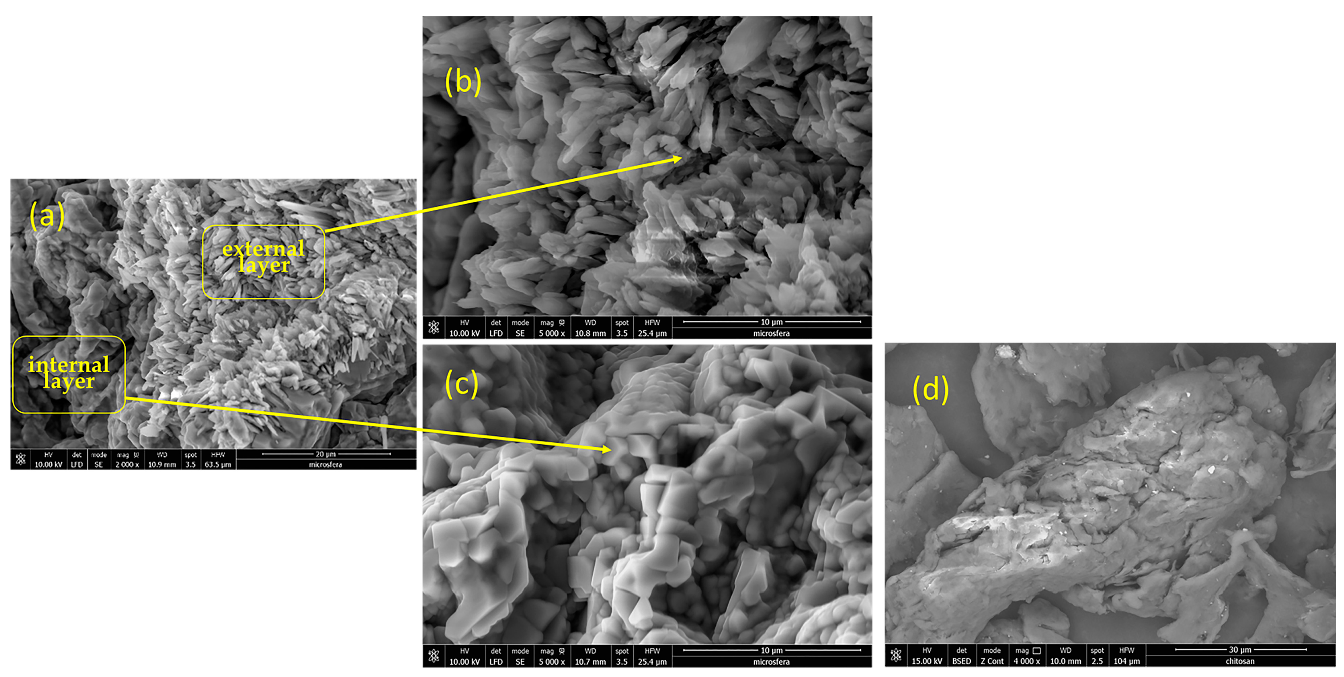 Coatings 13 01376 g002