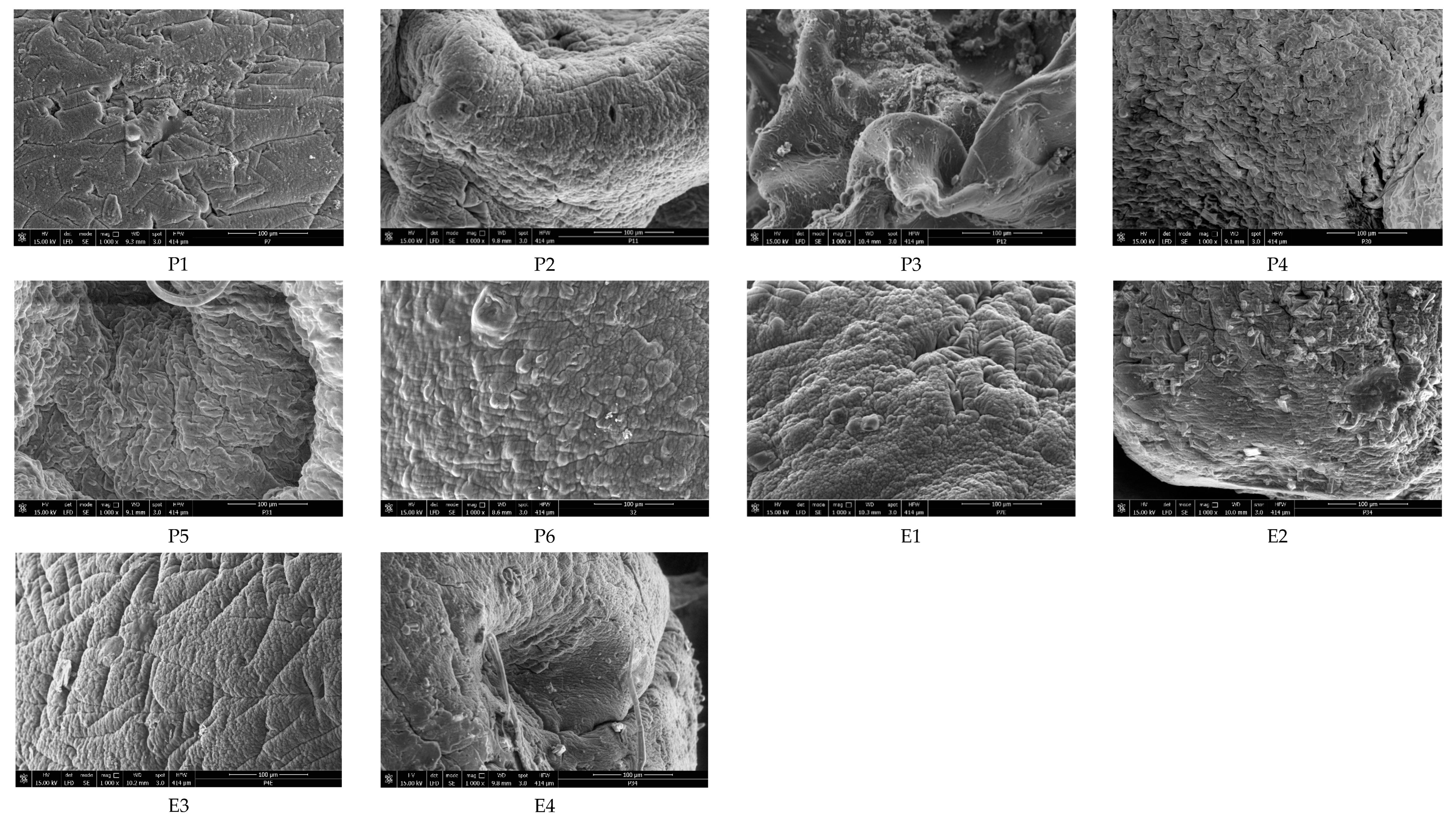 Coatings 13 01376 g003