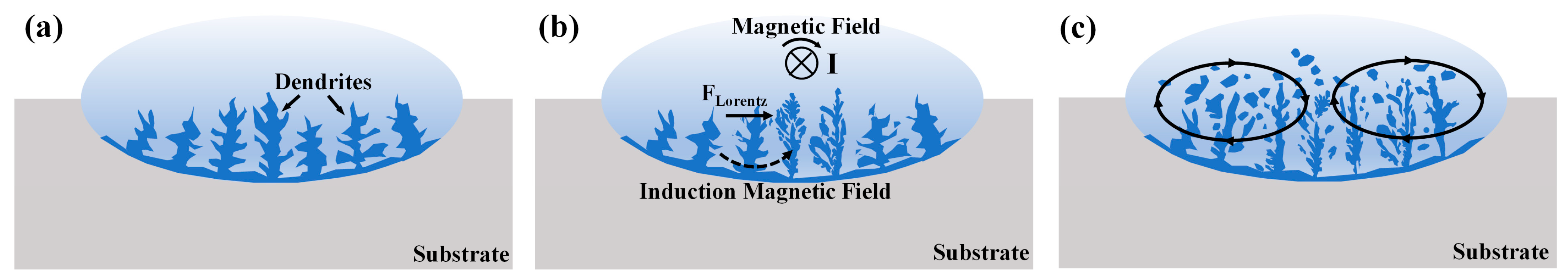 Coatings 13 01379 g008