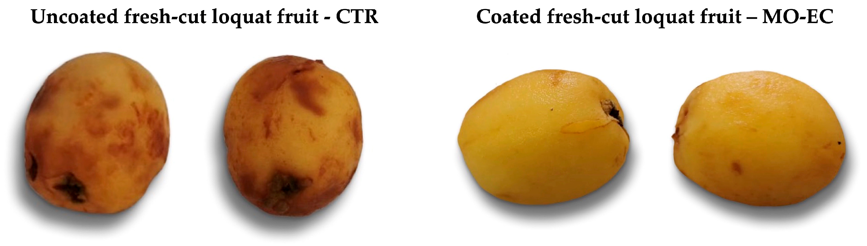 Coatings 13 01387 g009