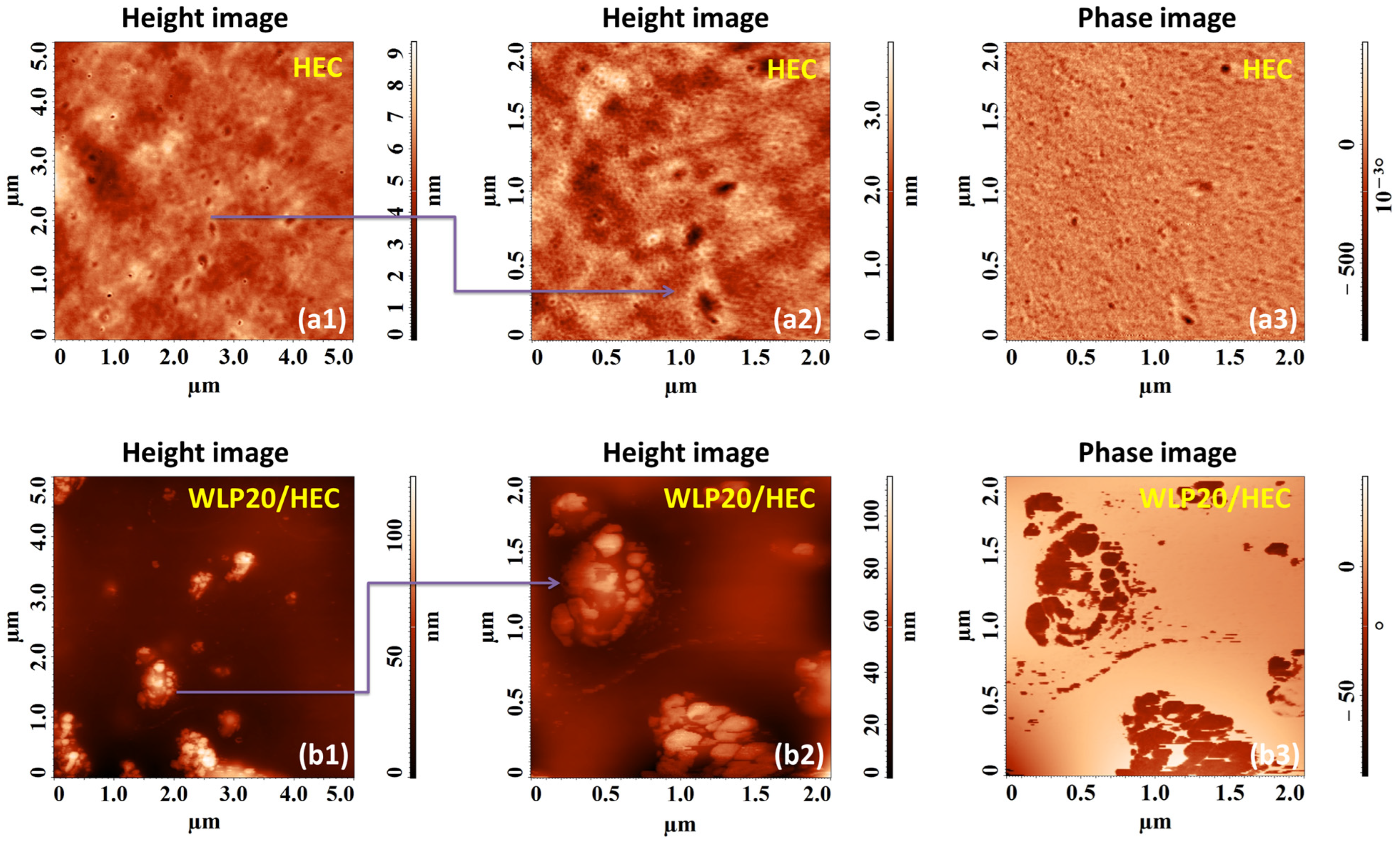 Coatings 13 01390 g007 Coatings 13 01390 g007