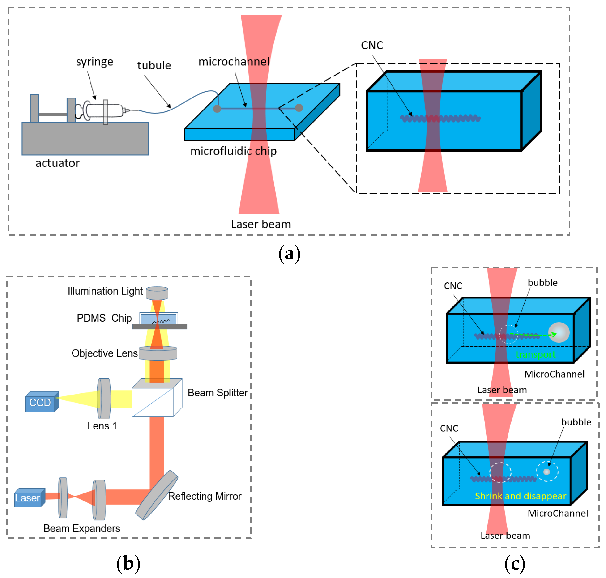 Coatings 13 01392 g001