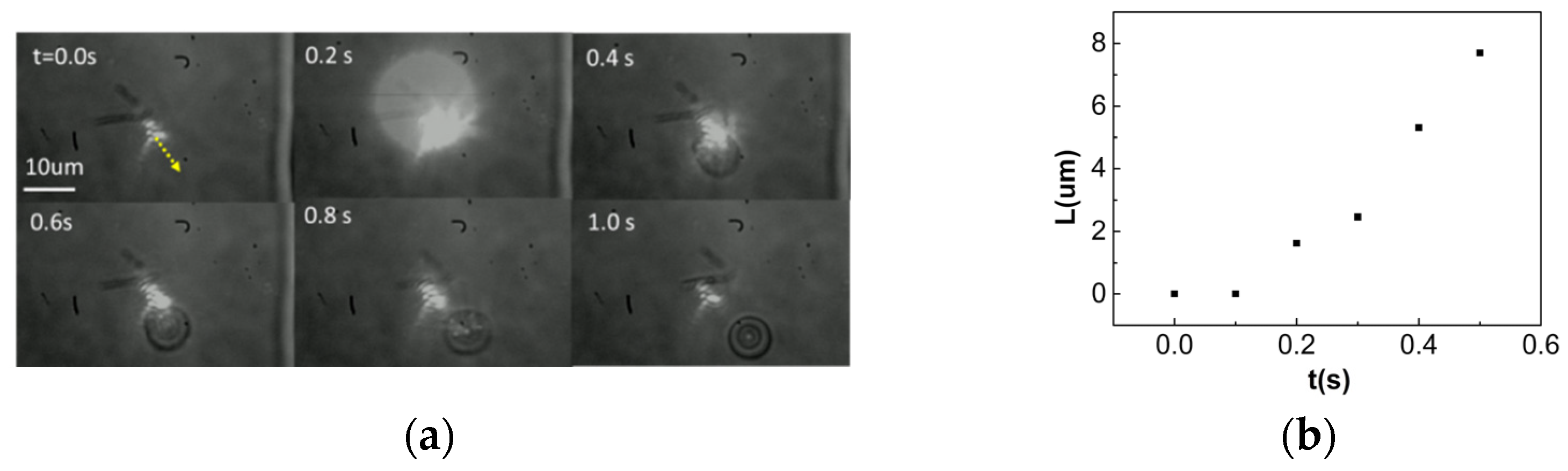 Coatings 13 01392 g005