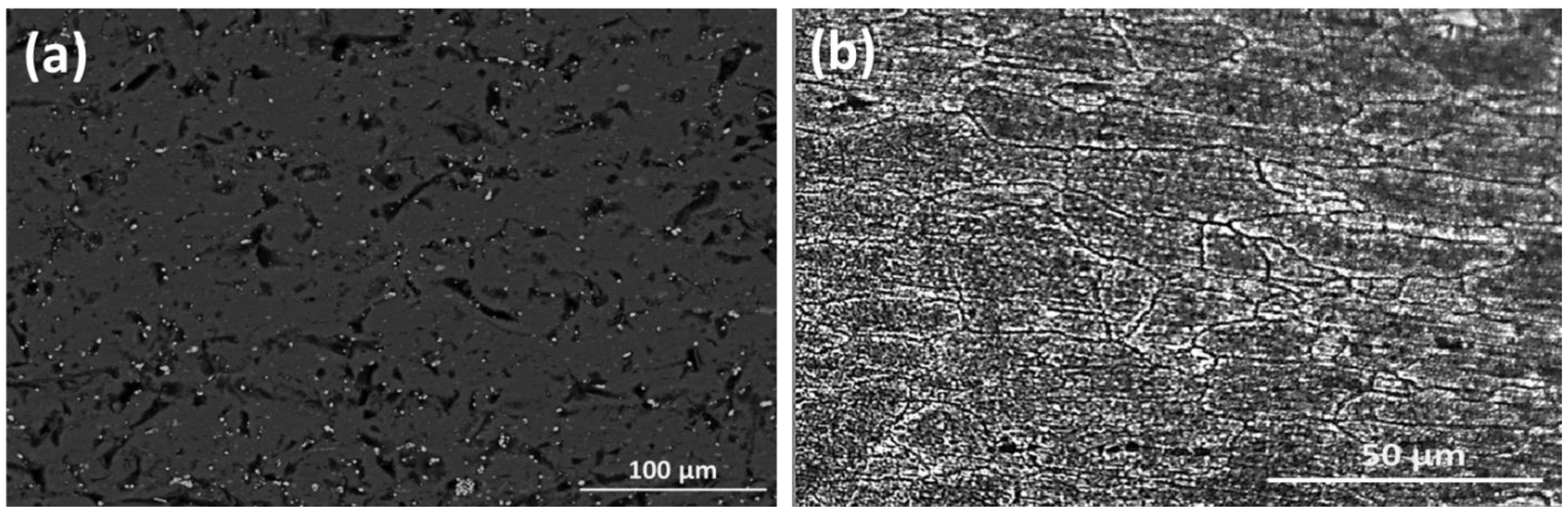 Coatings 13 01393 g004 Coatings 13 01393 g004
