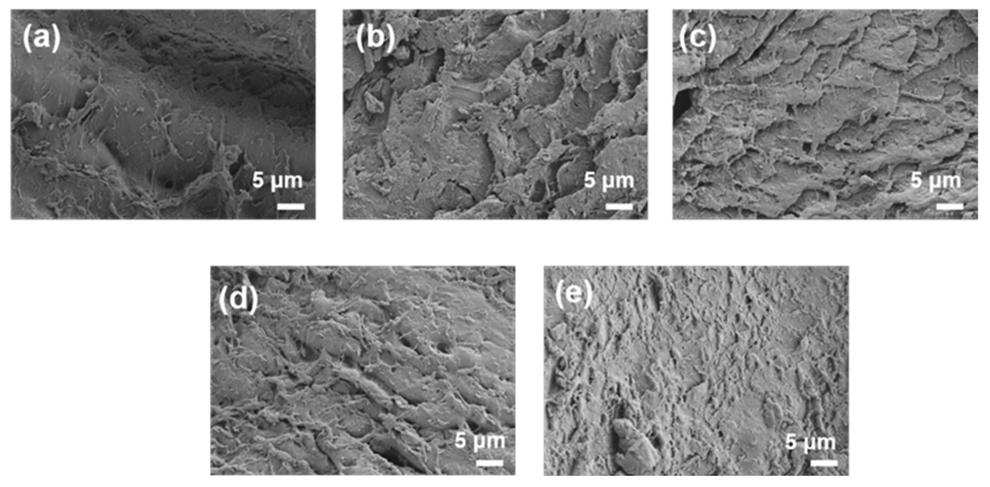 Coatings 13 01394 g012 Coatings 13 01394 g012