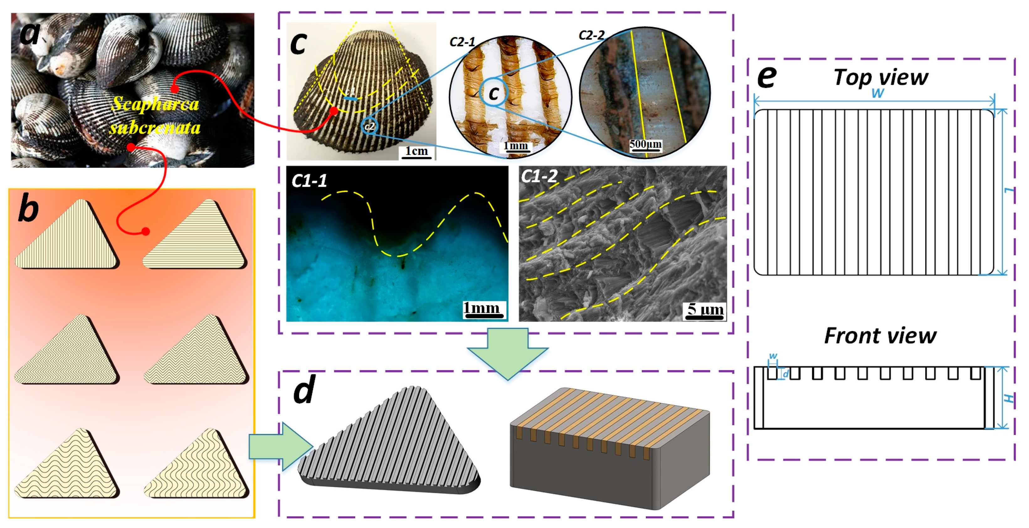 Coatings 13 01399 g001