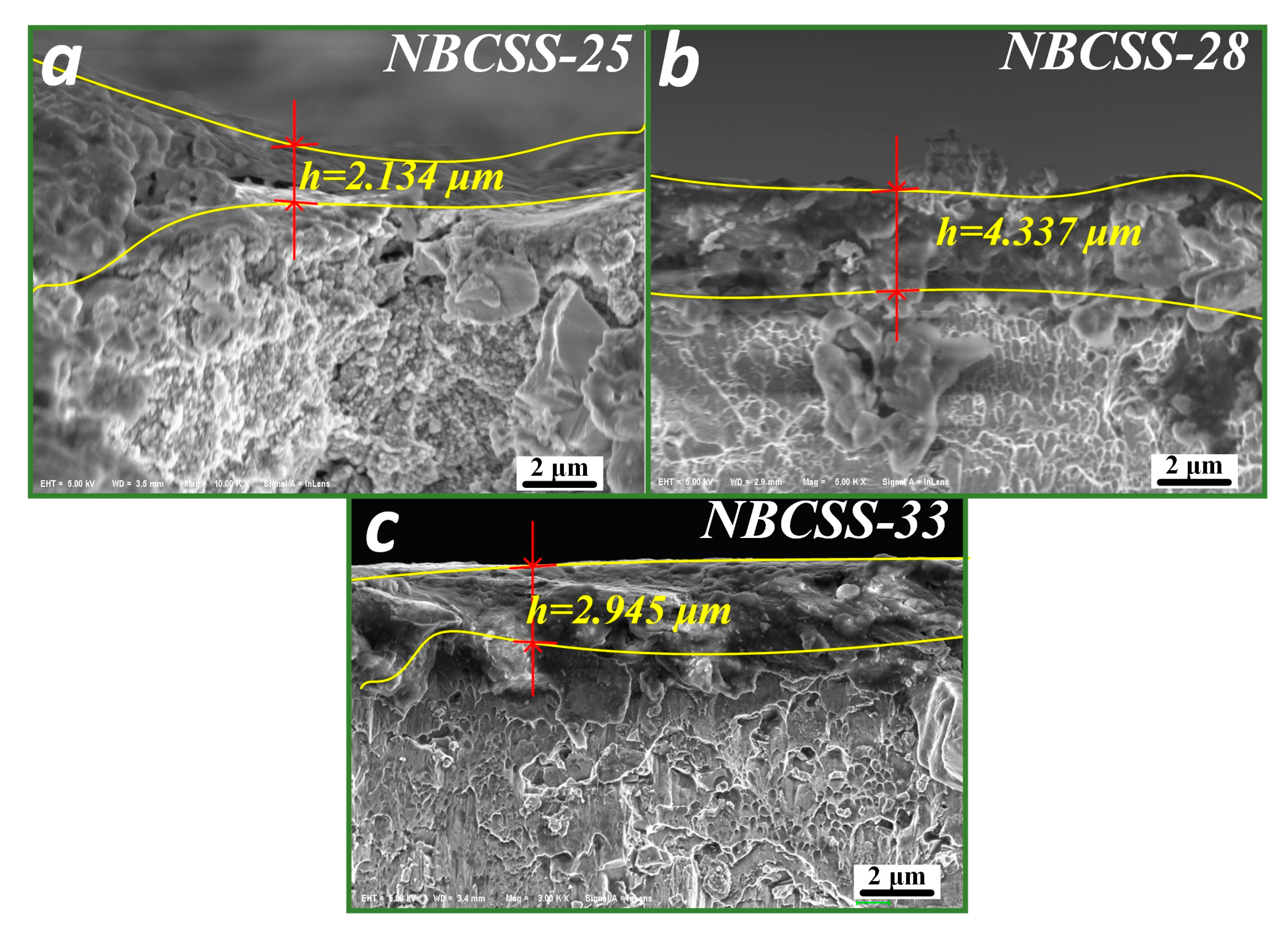 Coatings 13 01399 g006
