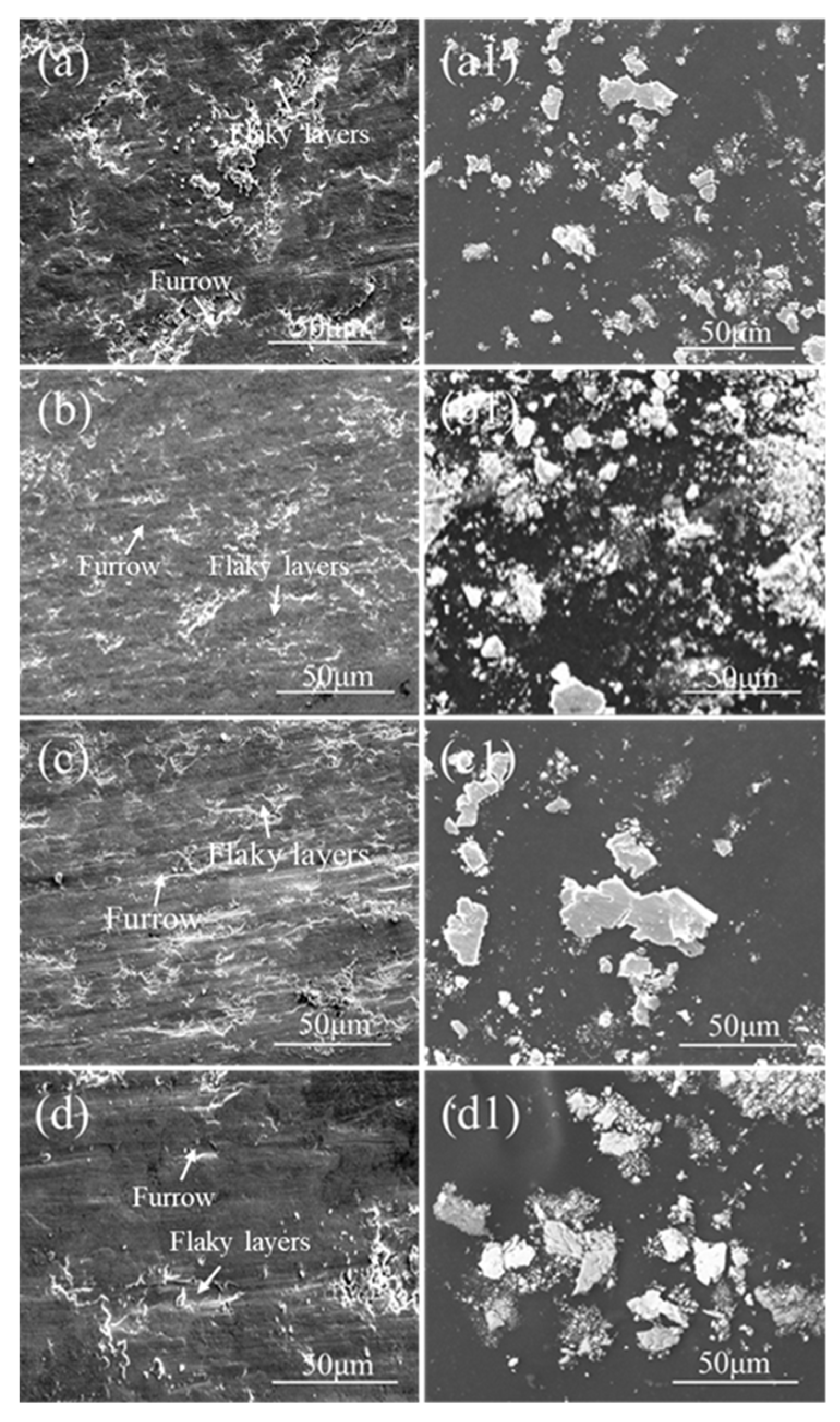 Coatings 13 01401 g009 Coatings 13 01401 g009