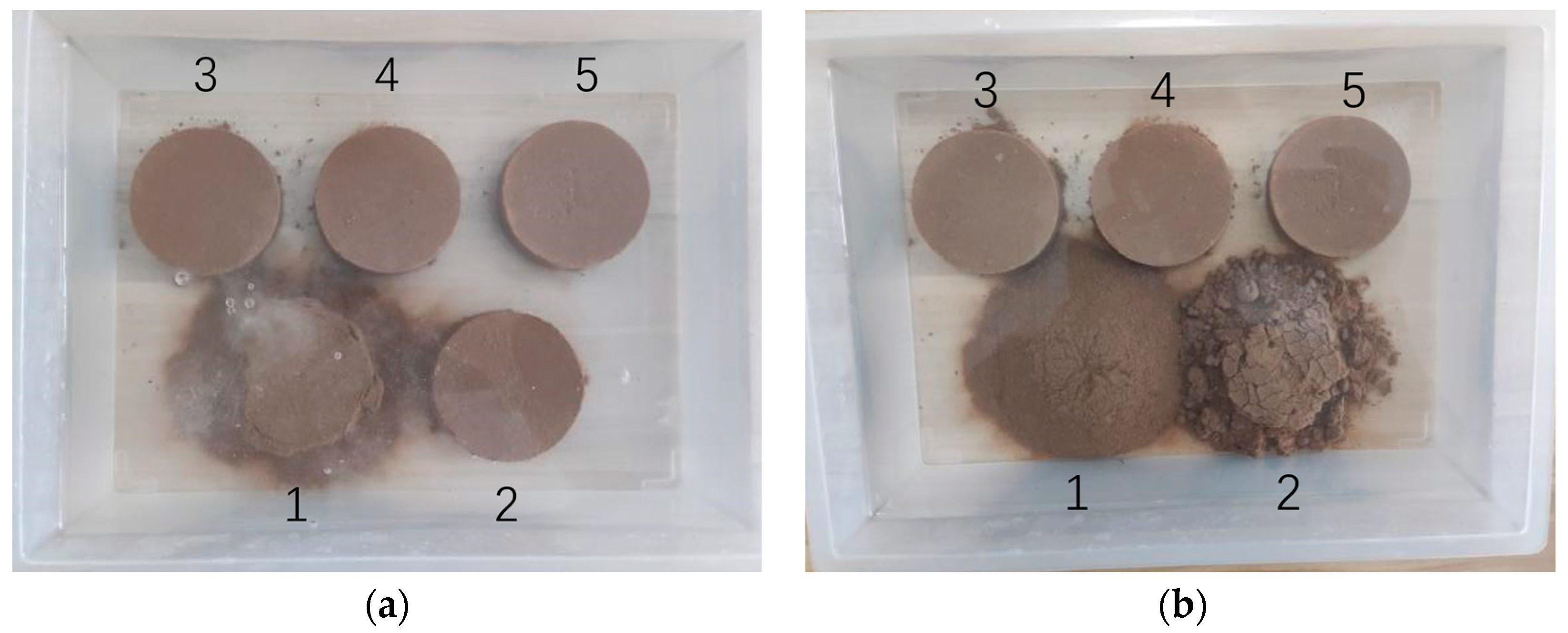 Coatings 13 01402 g007 550