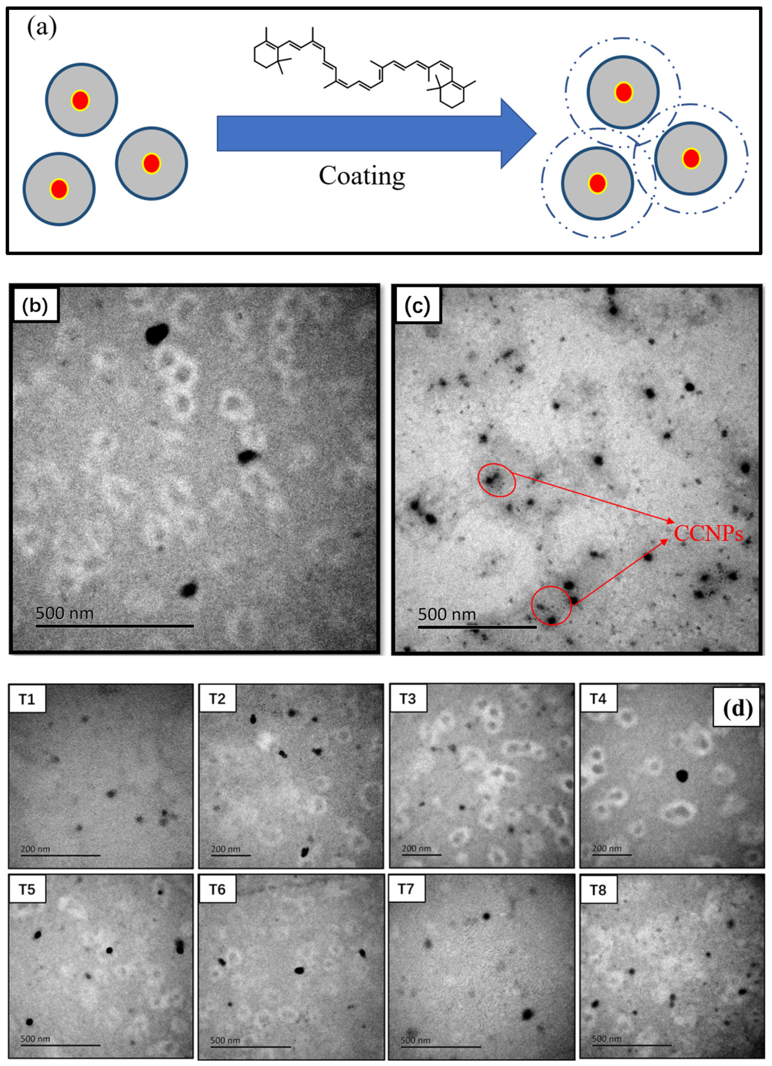 Coatings 13 01404 g001
