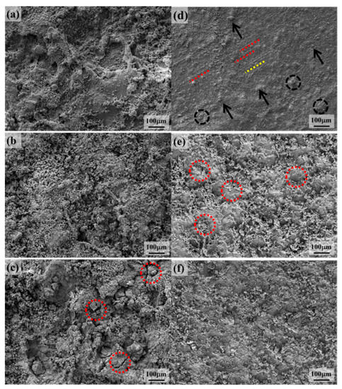 たなか Fabrication, Microstructure and Corrosion Resistance of Zn