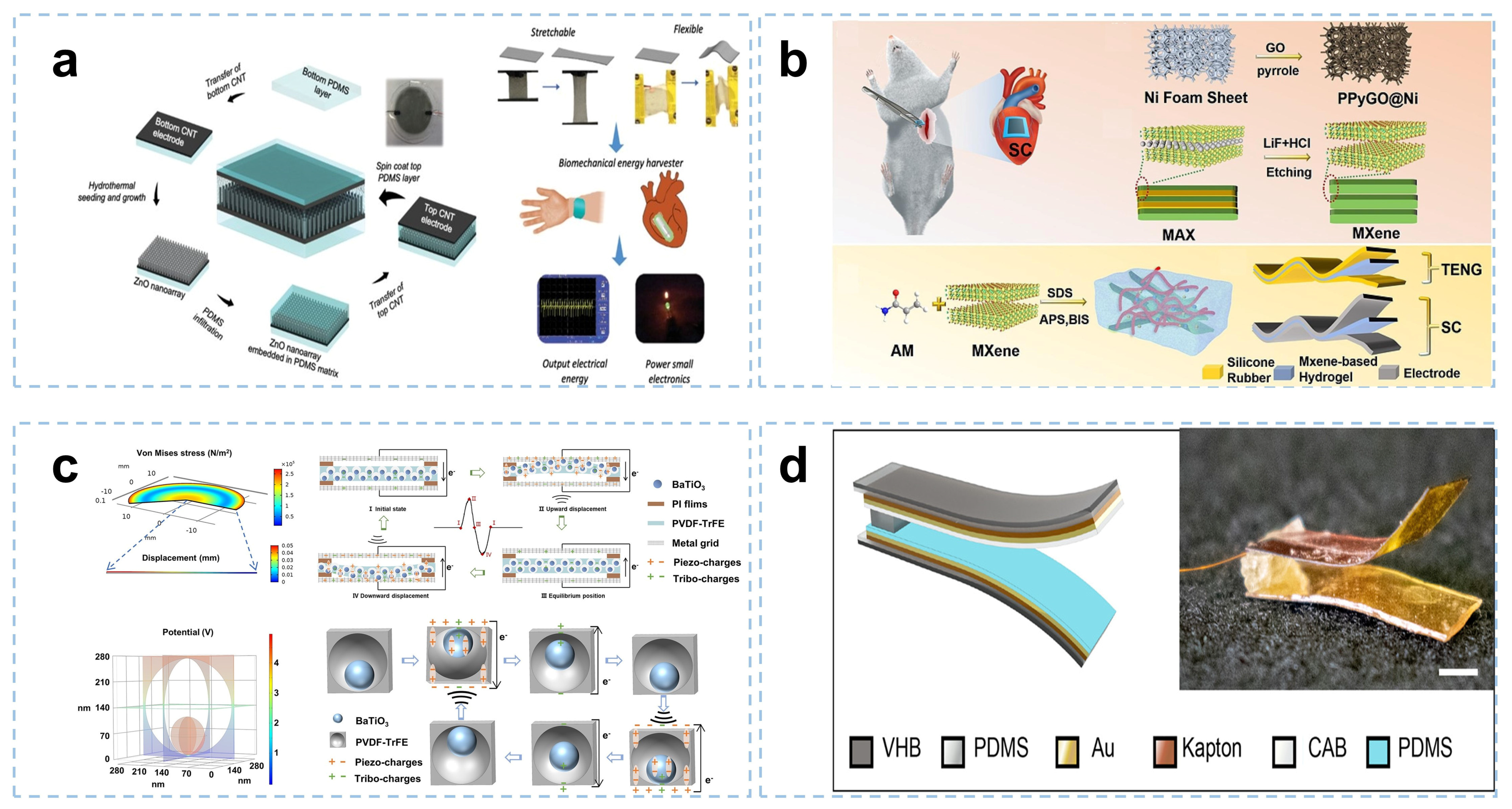 Coatings 13 01407 g002a