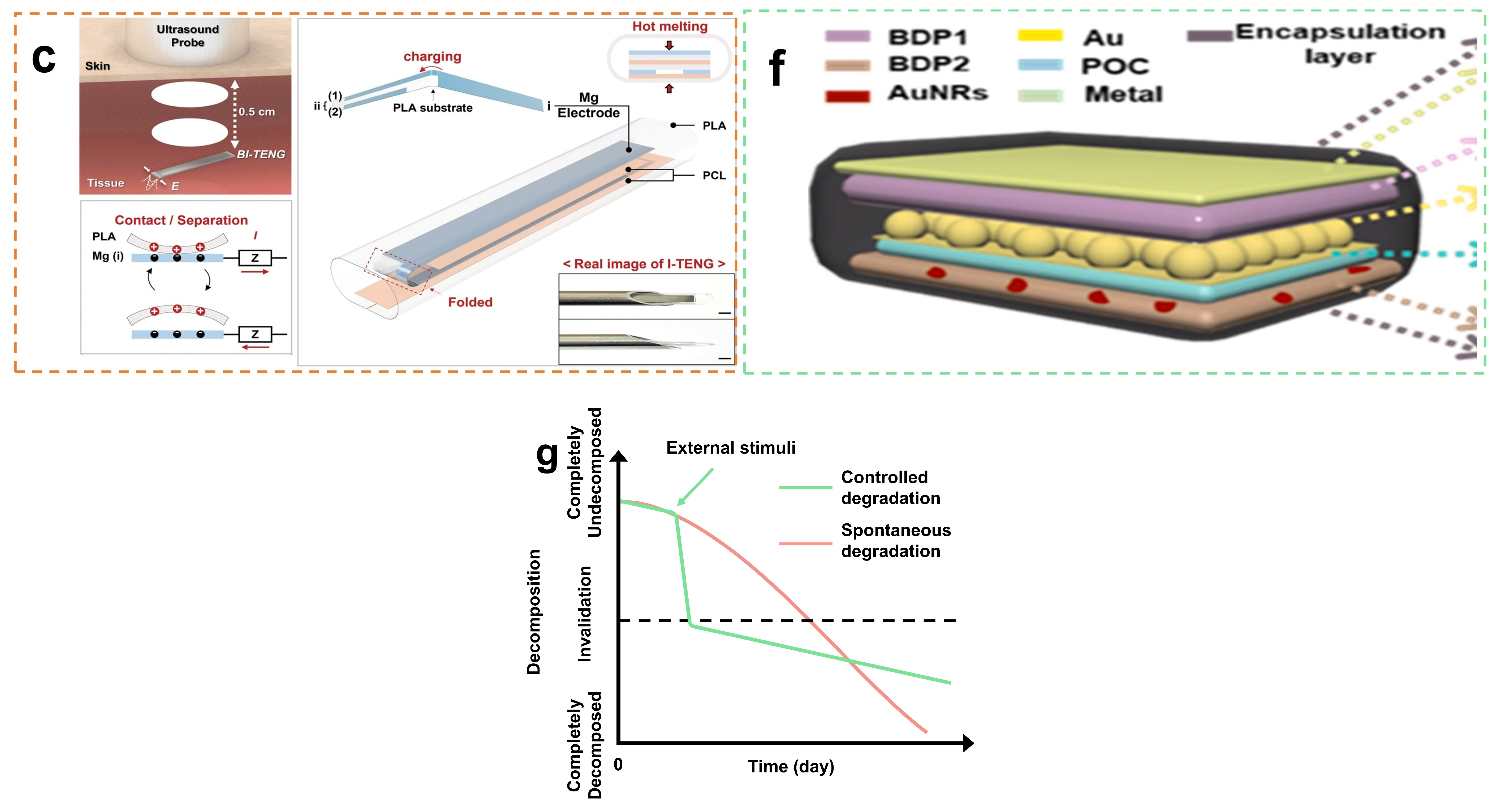 Coatings 13 01407 g003b