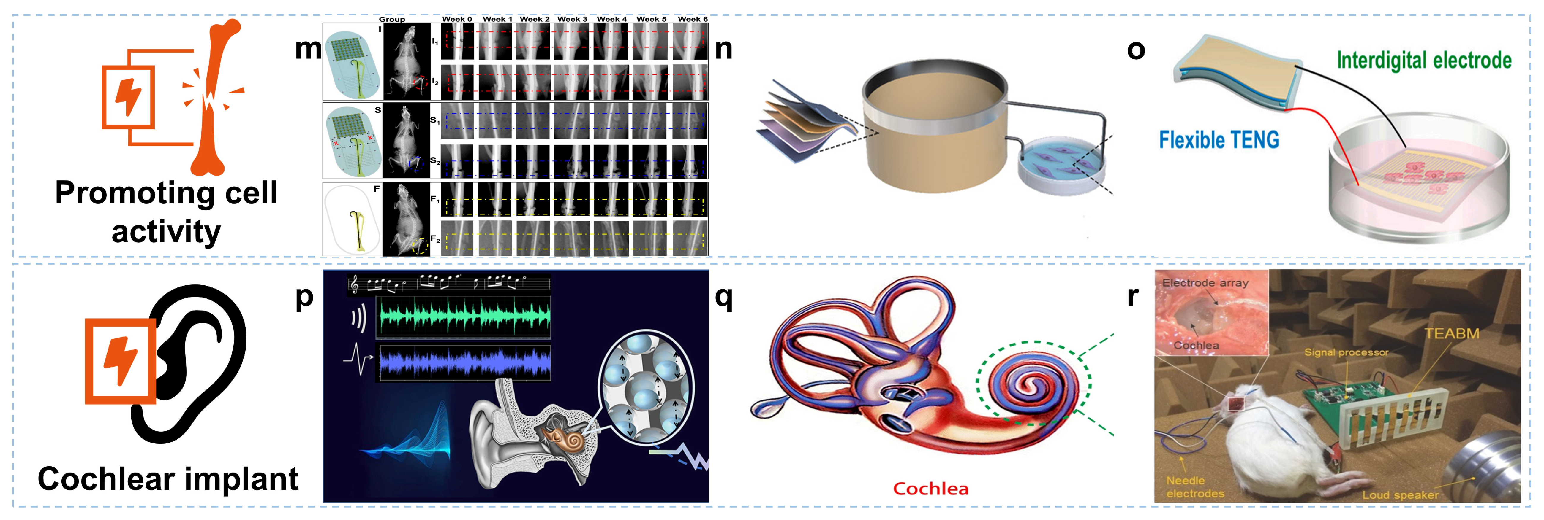 Coatings 13 01407 g006b