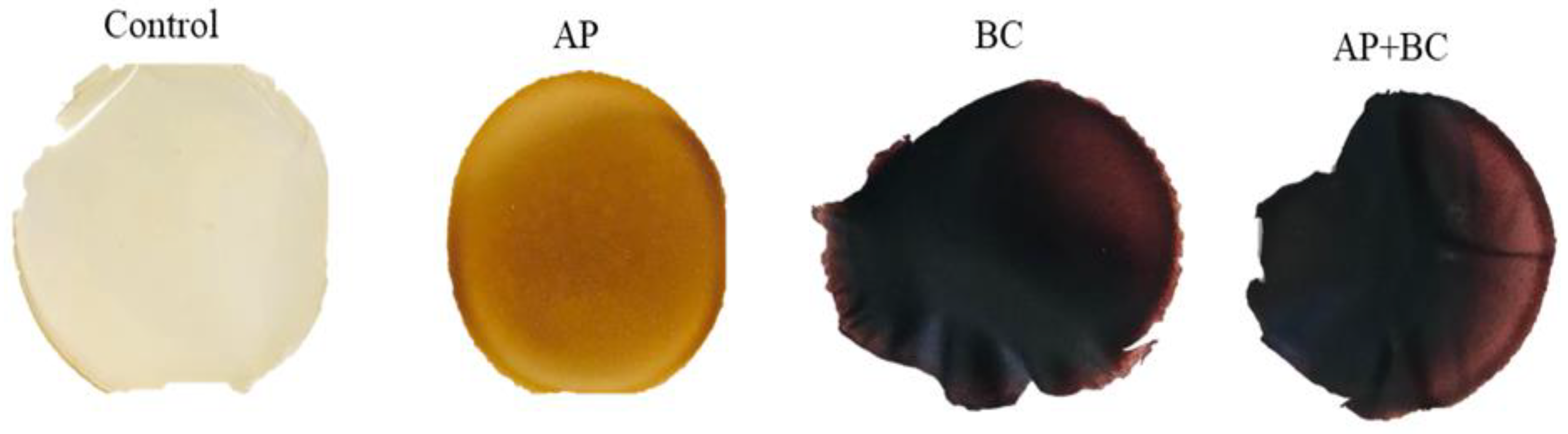 Coatings 13 01409 g003 Coatings 13 01409 g003