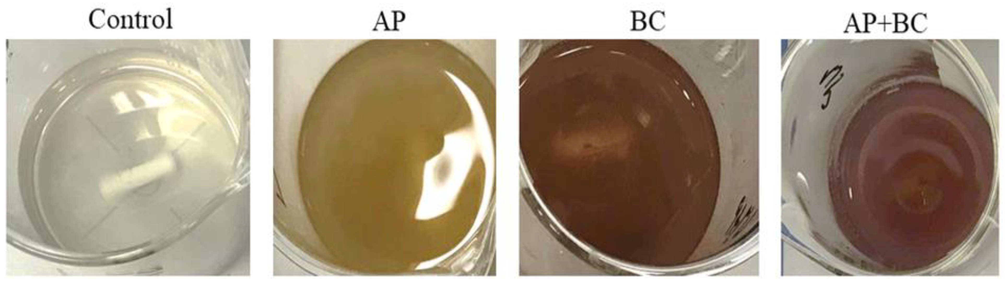 Coatings 13 01409 g004 Coatings 13 01409 g004