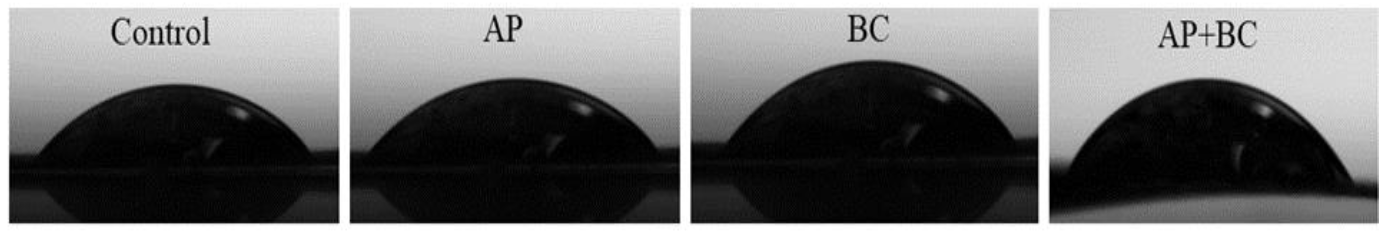 Coatings 13 01409 g005 Coatings 13 01409 g005