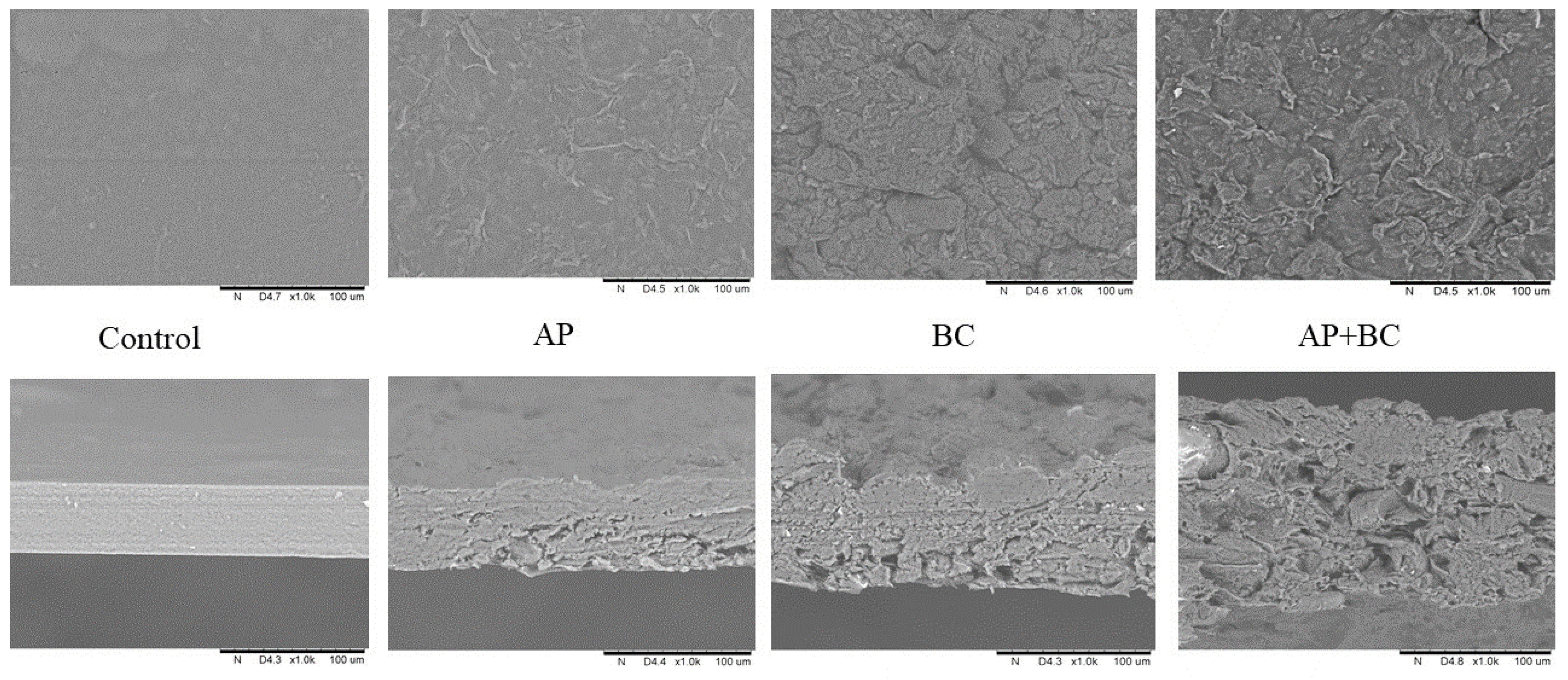 Coatings 13 01409 g007 Coatings 13 01409 g007