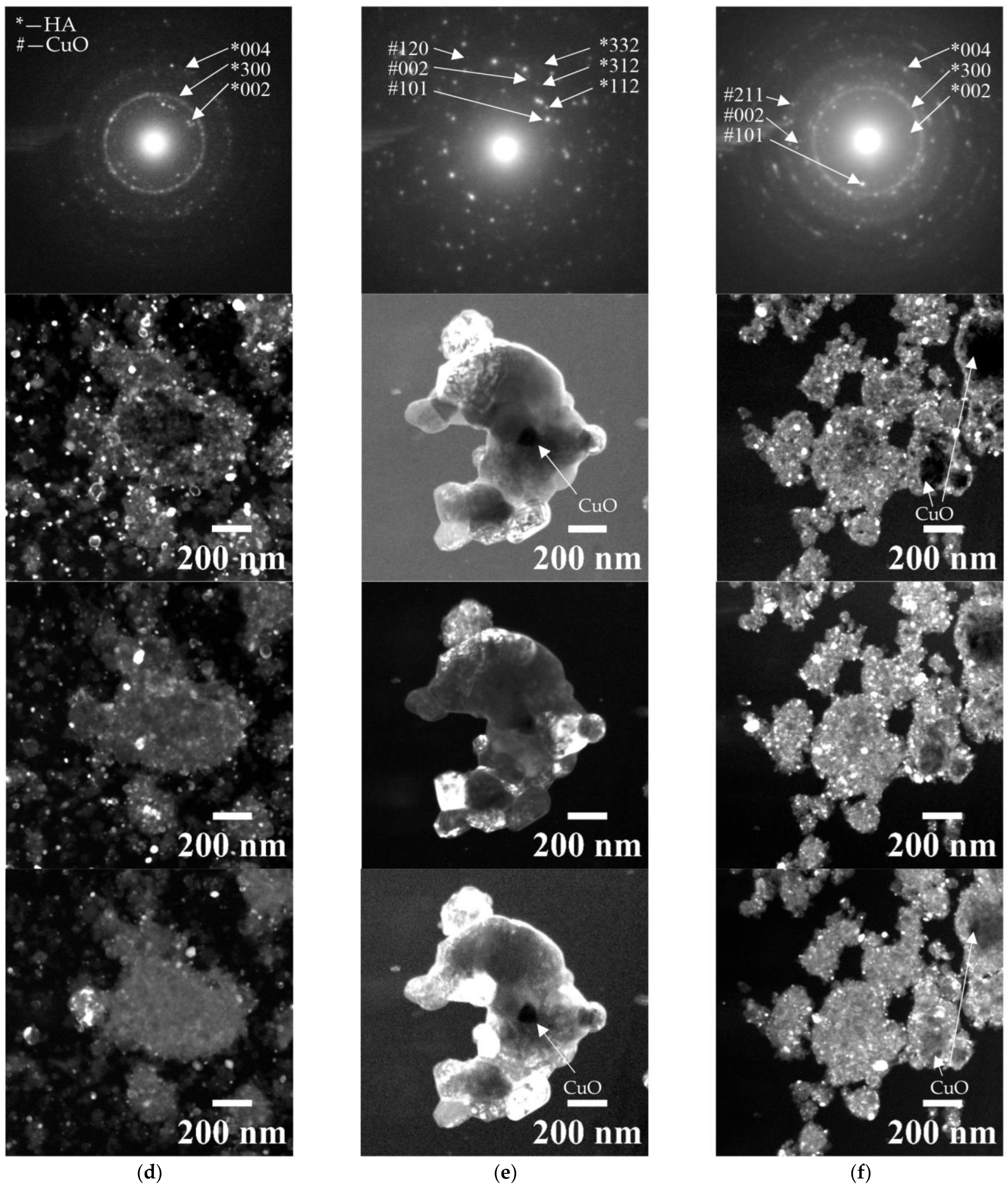 Coatings 13 01410 g003b