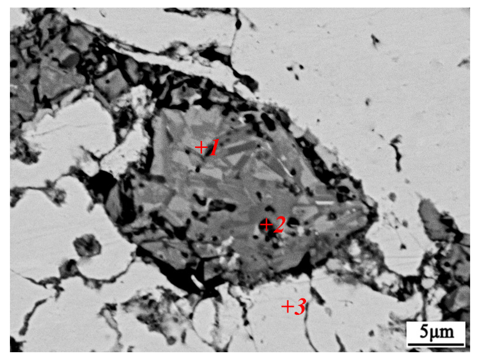 Coatings 13 01414 g006 Coatings 13 01414 g006